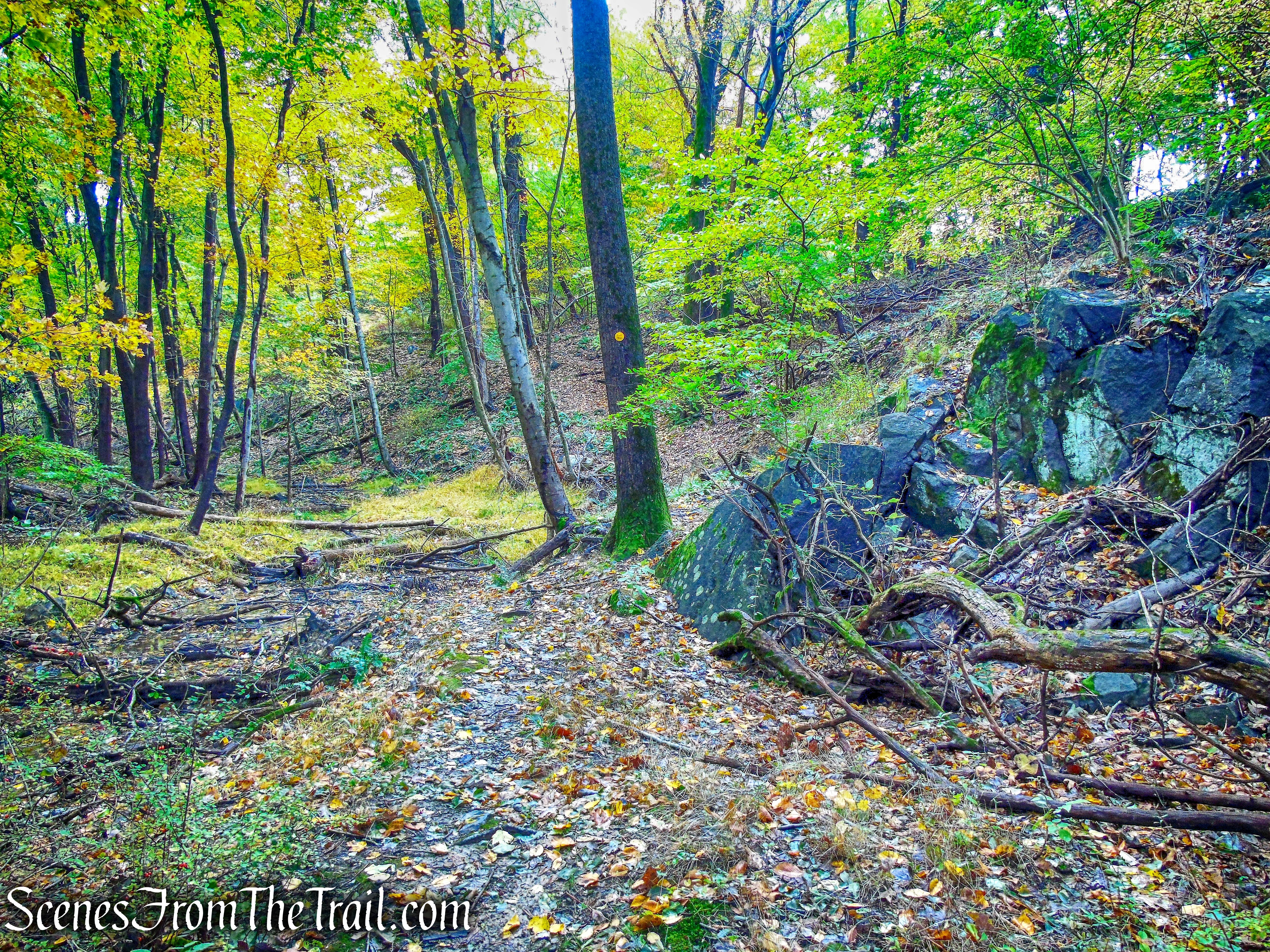 Yellow Trail - Montrose Point State Forest