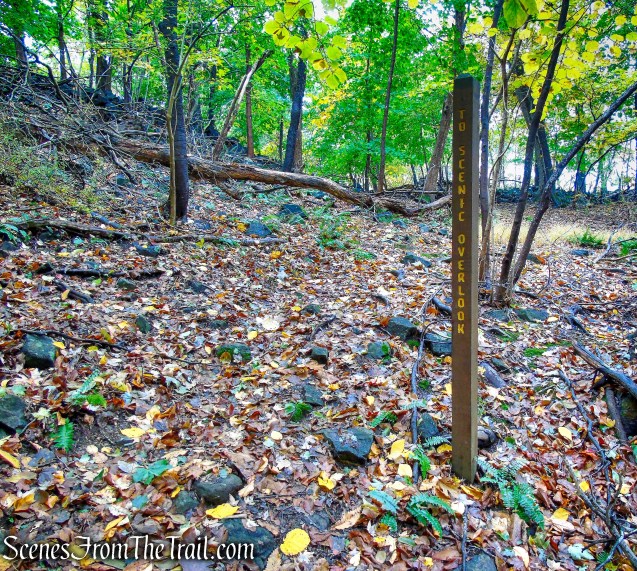 Yellow Trail - Montrose Point State Forest