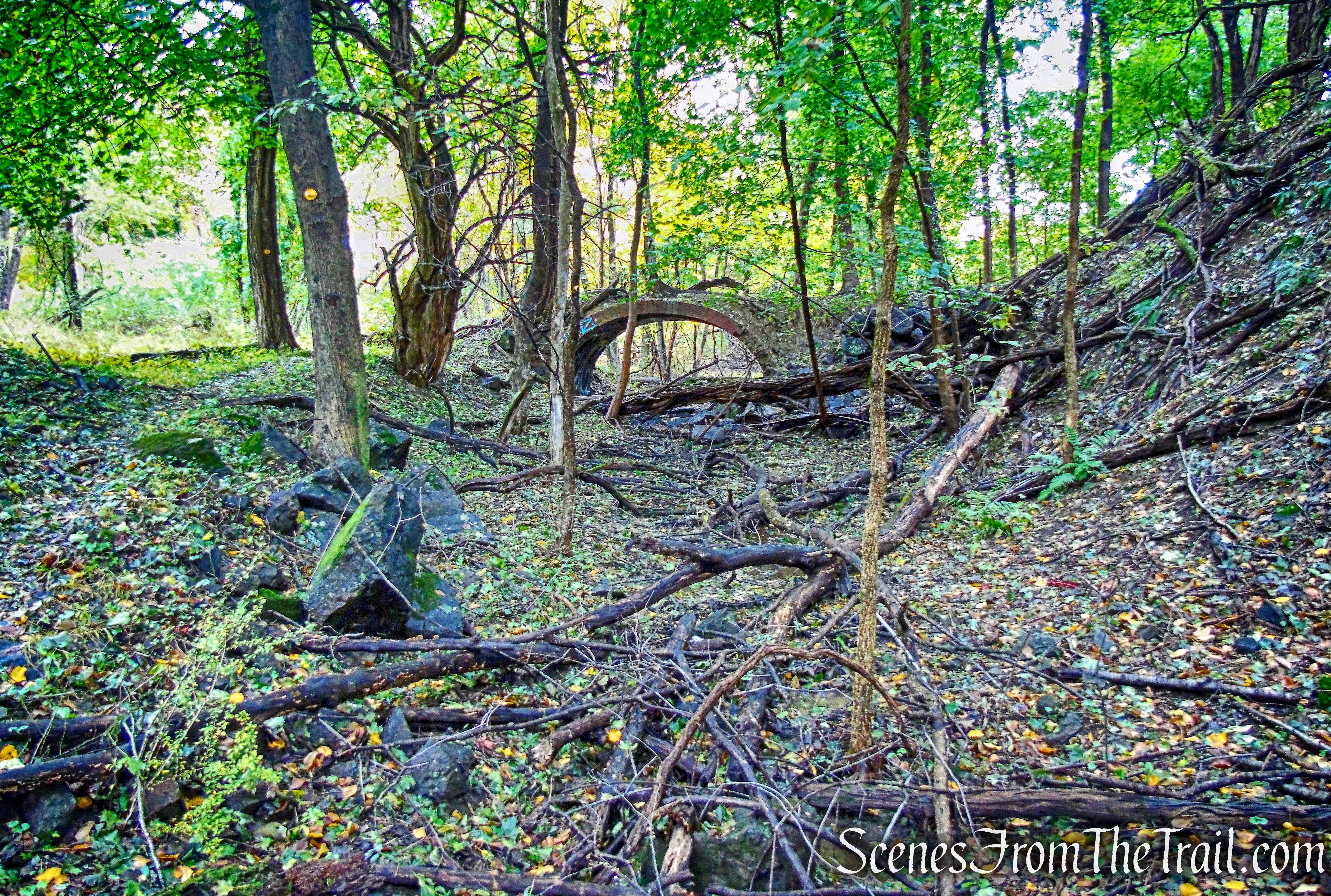 Yellow Trail - Montrose Point State Forest