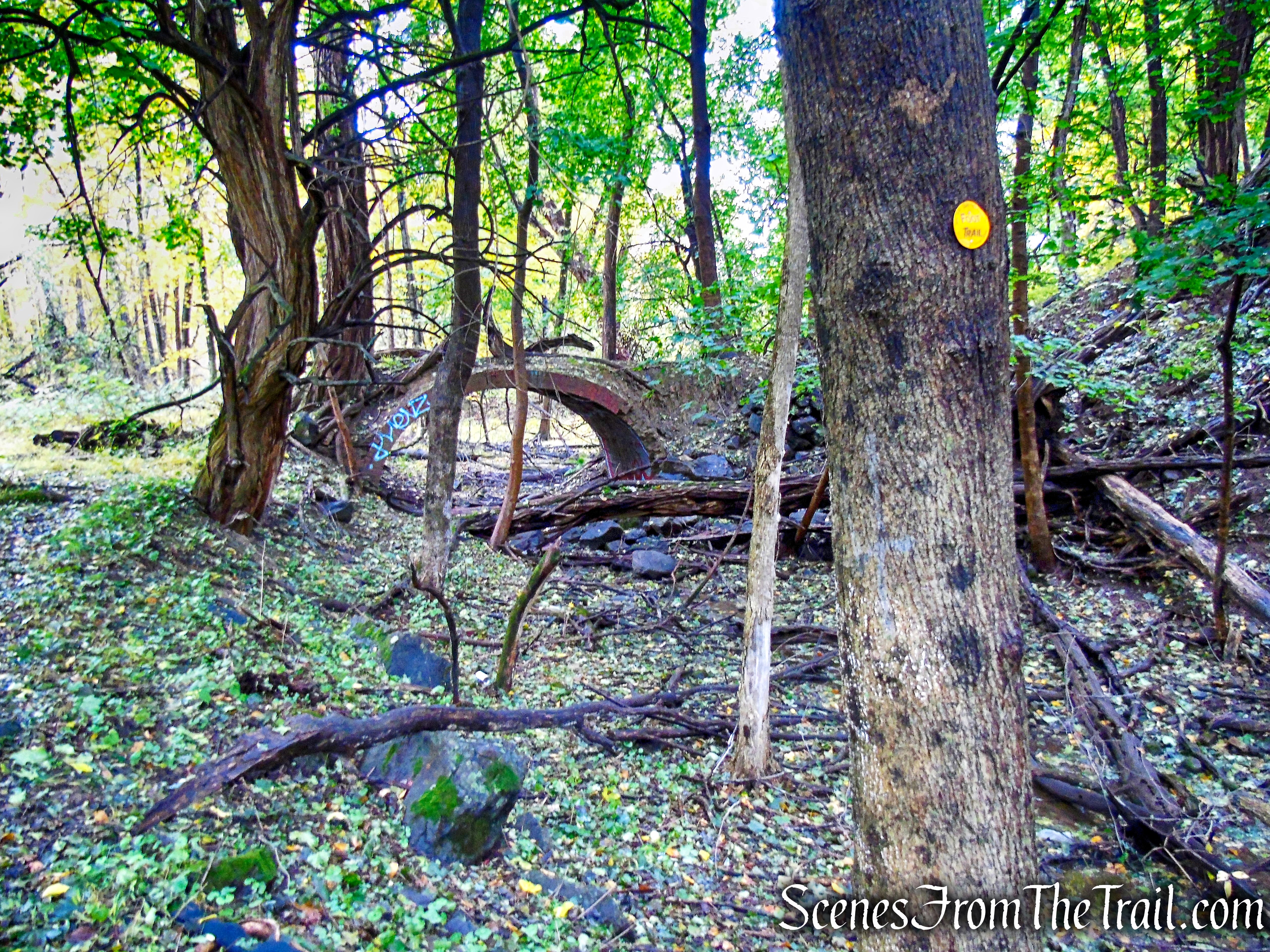 Yellow Trail - Montrose Point State Forest