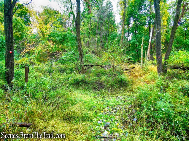 turn right on Red Trail - Montrose Point State Forest