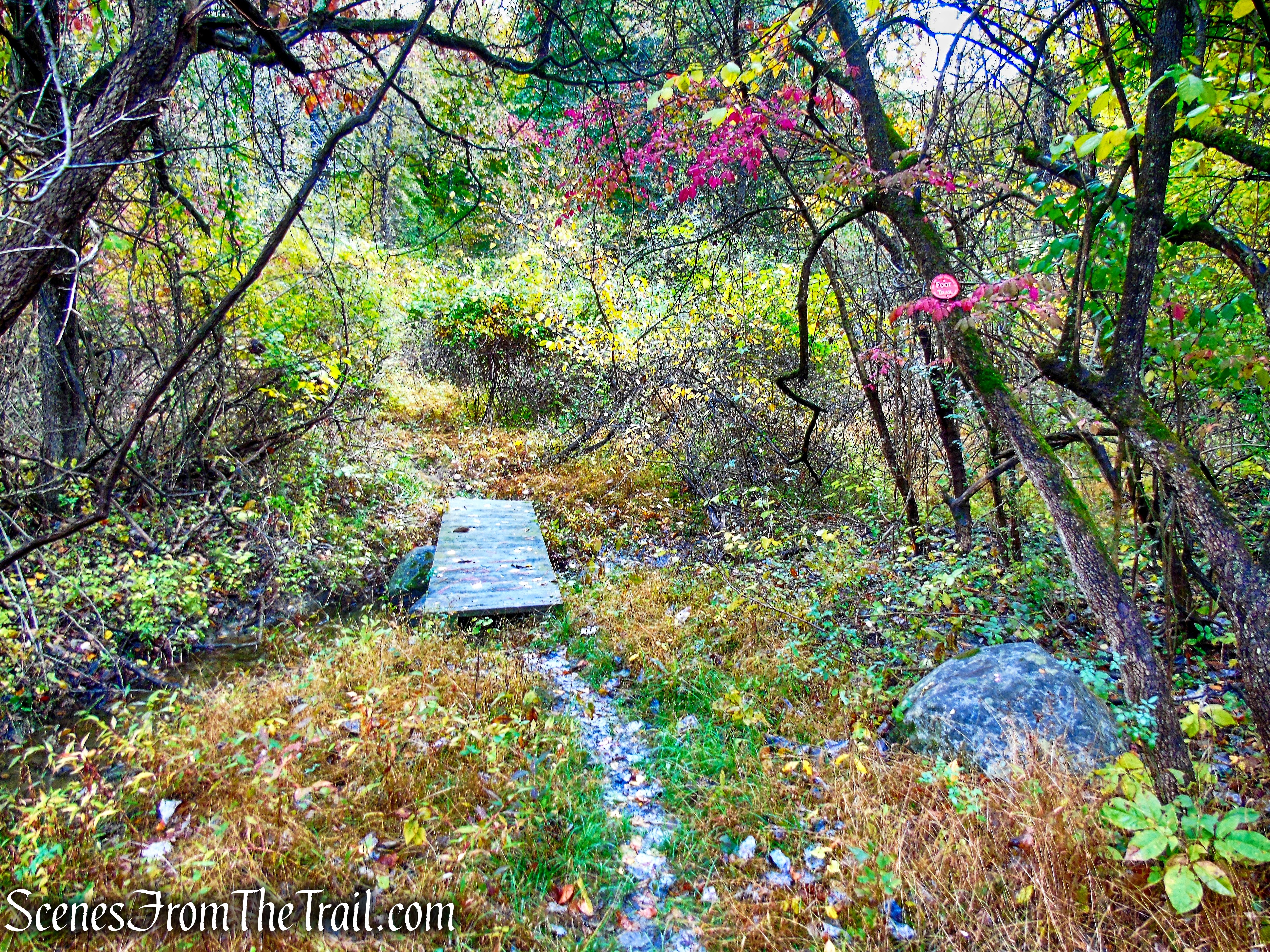 Red Trail - Montrose Point State Forest