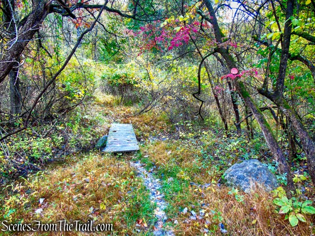 Red Trail - Montrose Point State Forest