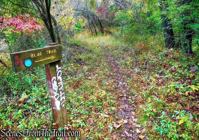 Blue Trail - Montrose Point State Forest