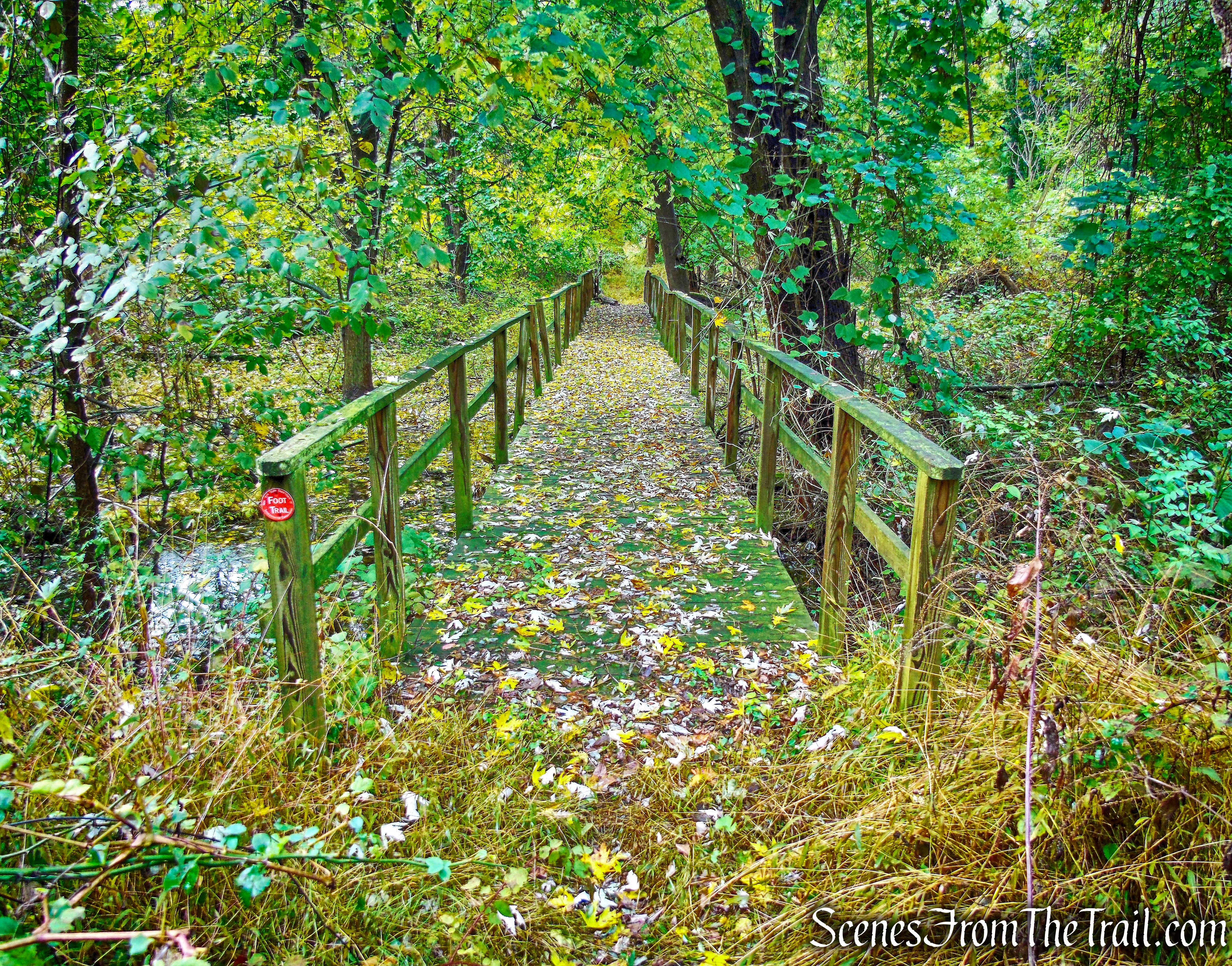 Red Trail - Montrose Point State Forest