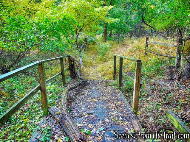 Red Trail - Montrose Point State Forest