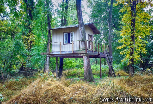 treehouse along the Red Trail - Montrose Point State Forest