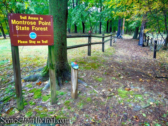 Red Trail - Montrose Point State Forest