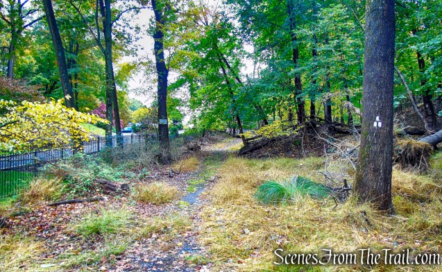 White Trail - George's Island Park