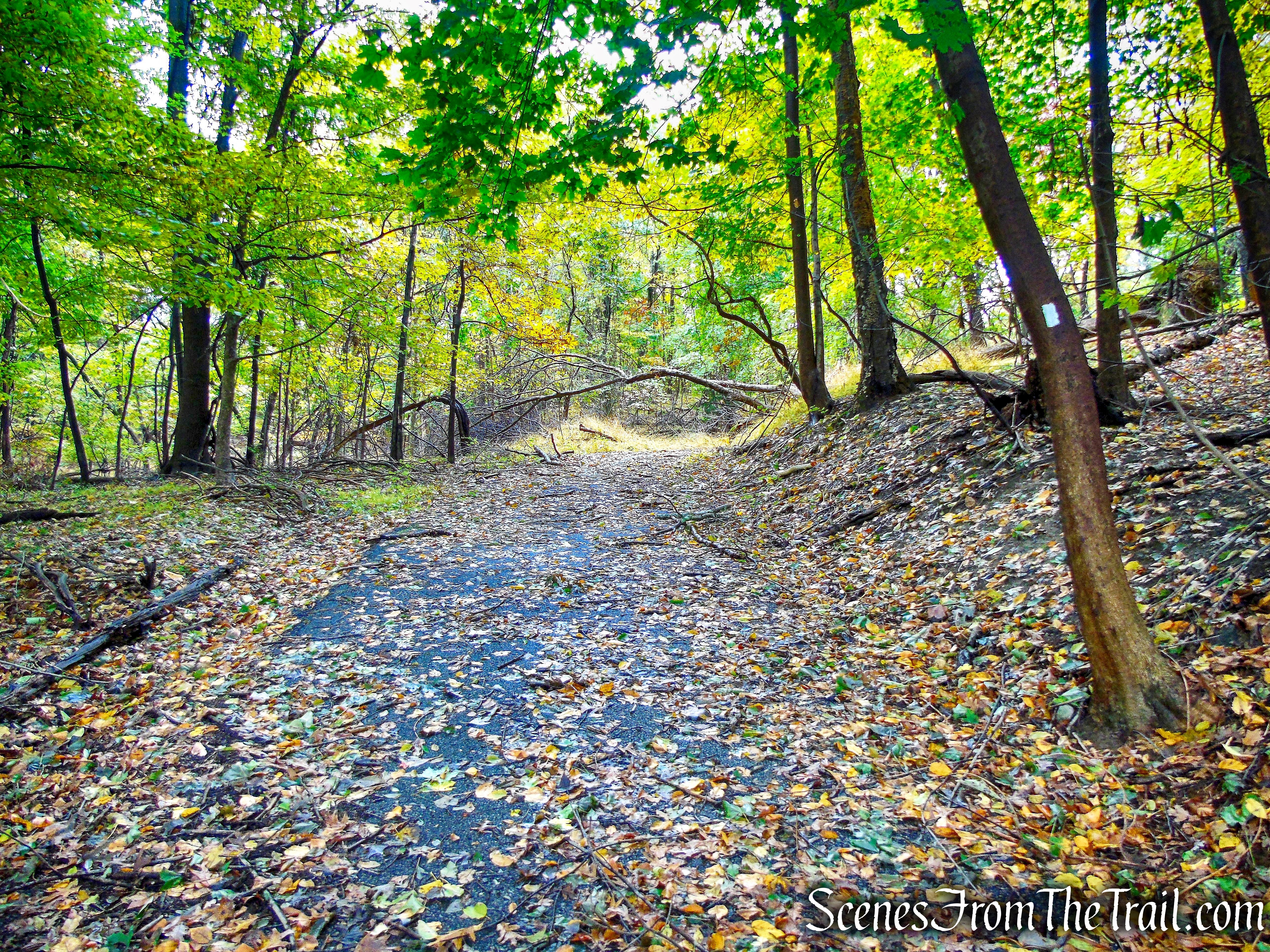 White Trail - George's Island Park