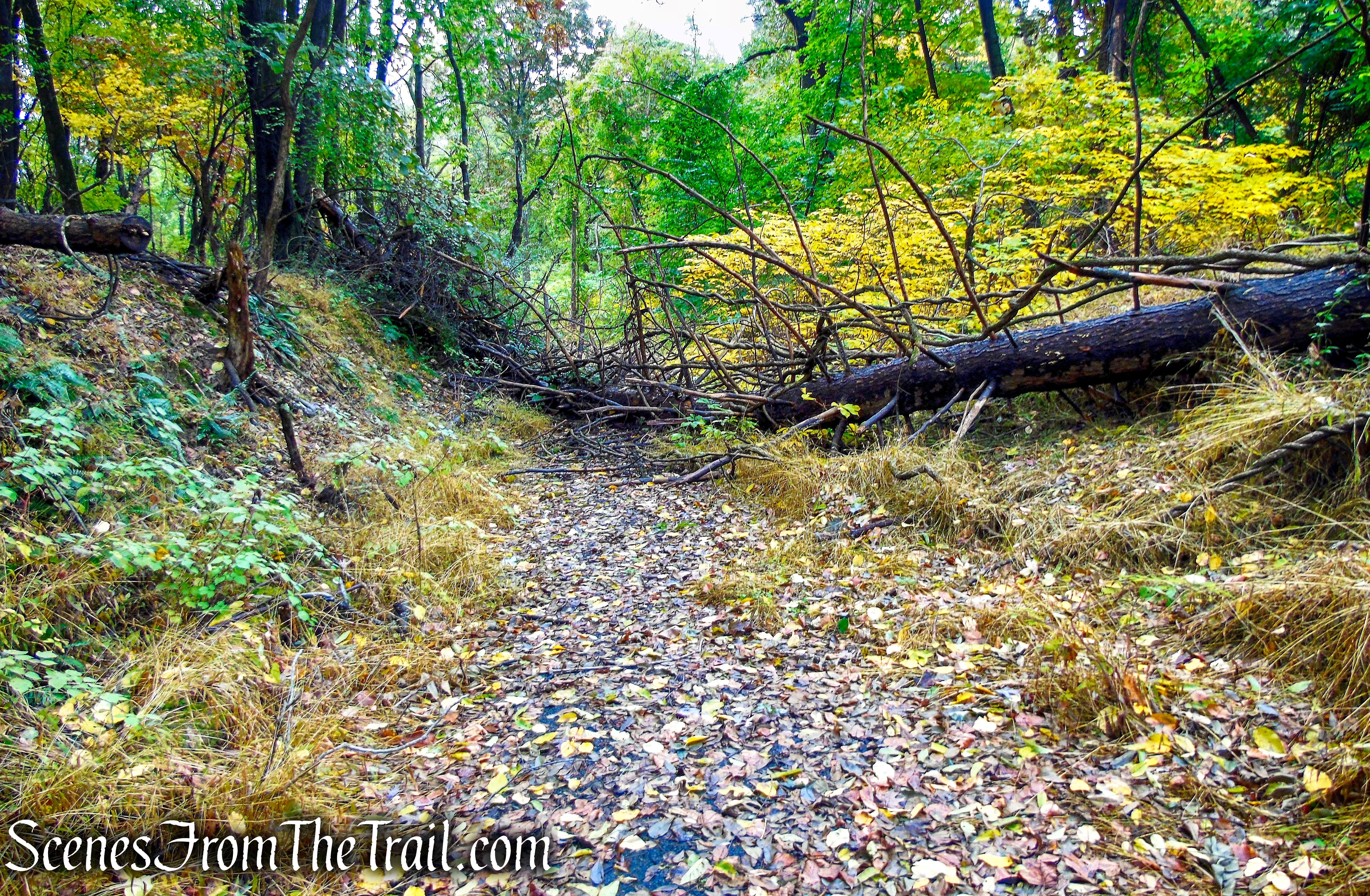 White Trail - George's Island Park