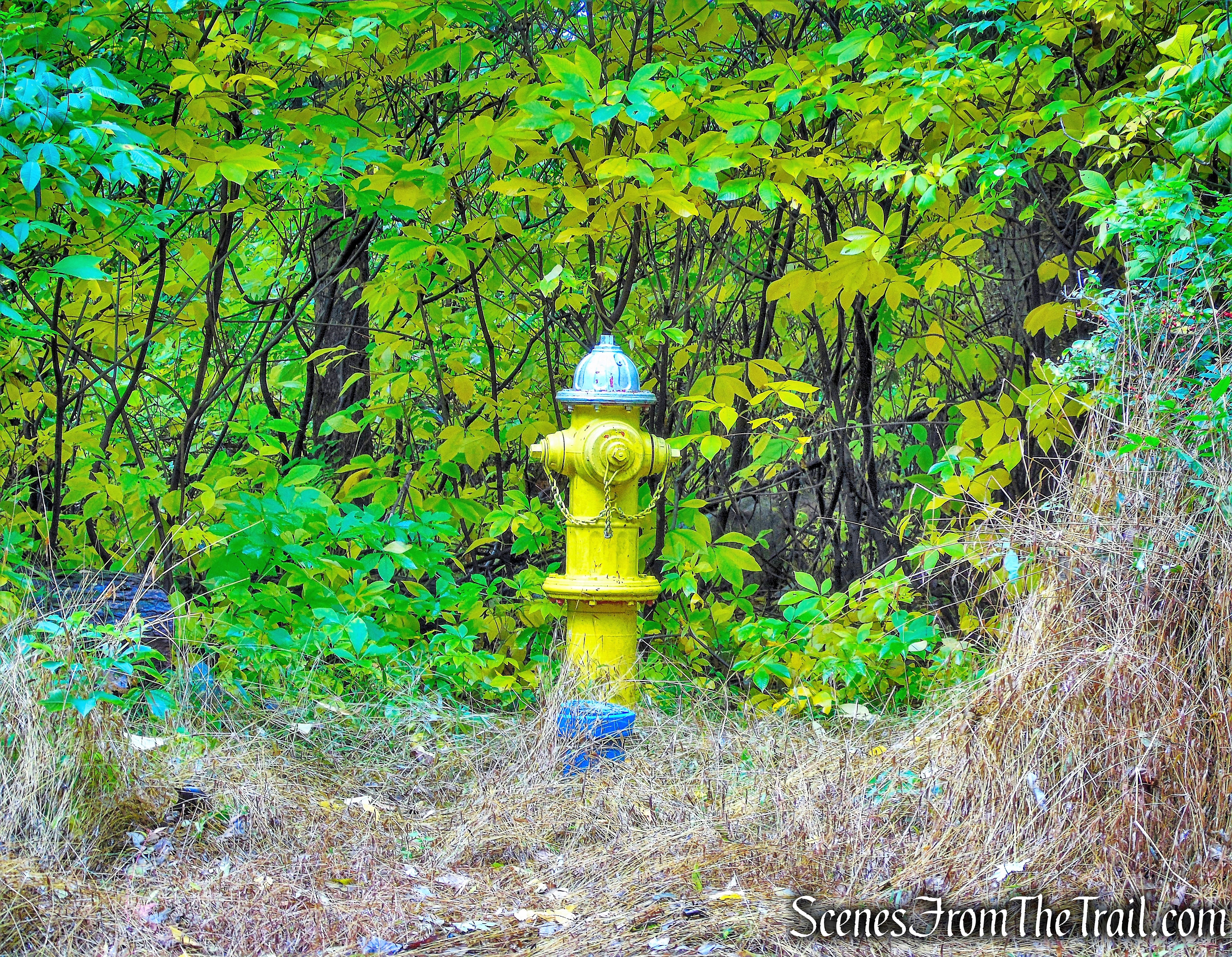 White Trail - George's Island Park