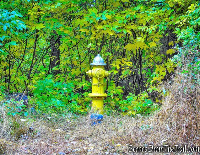 White Trail - George's Island Park