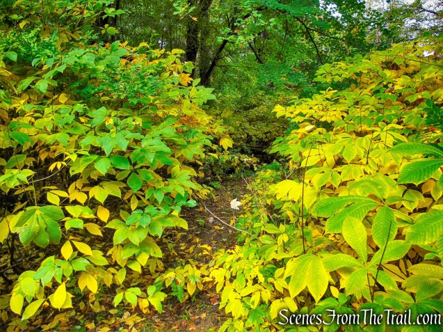 George's Island Park