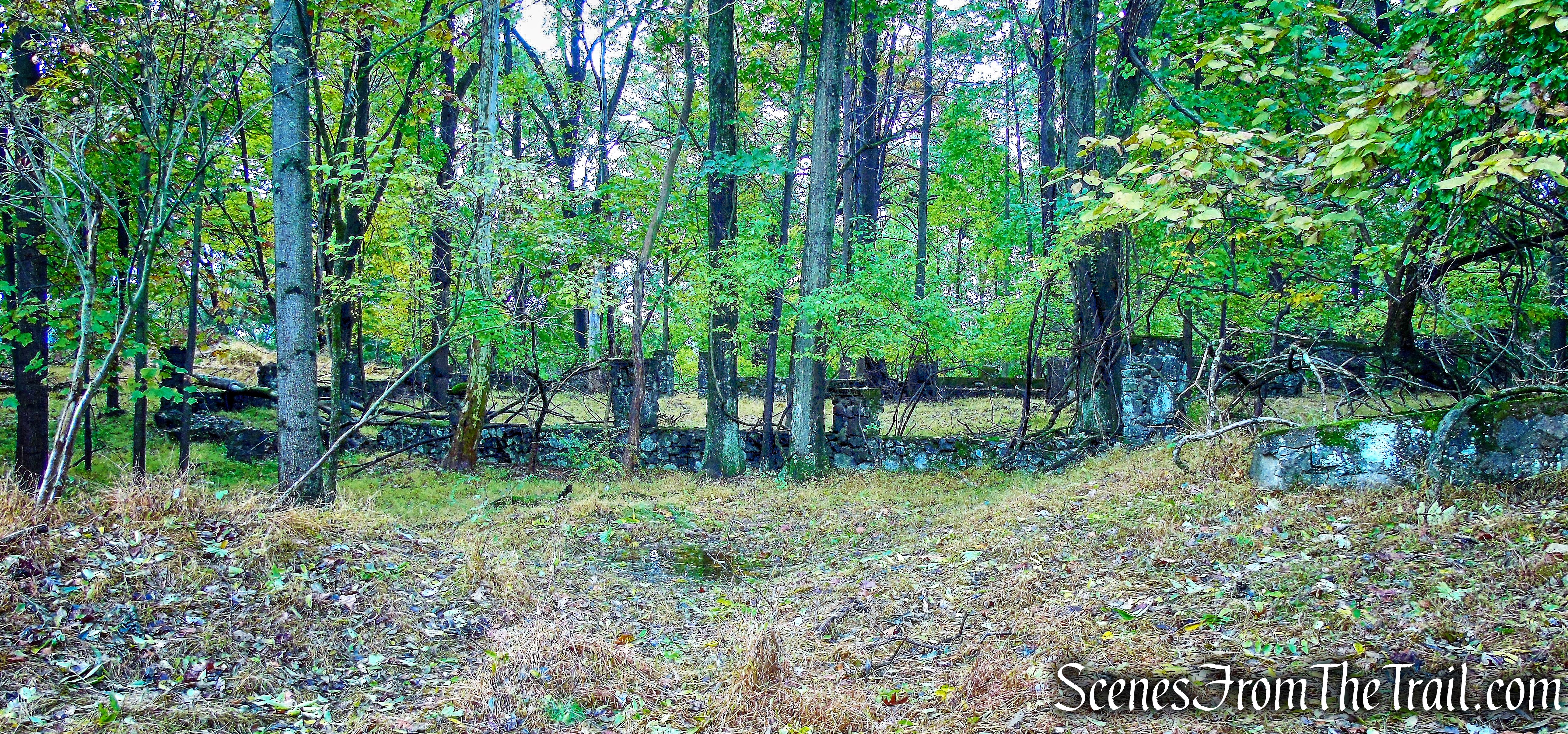 ruins - George's Island Park