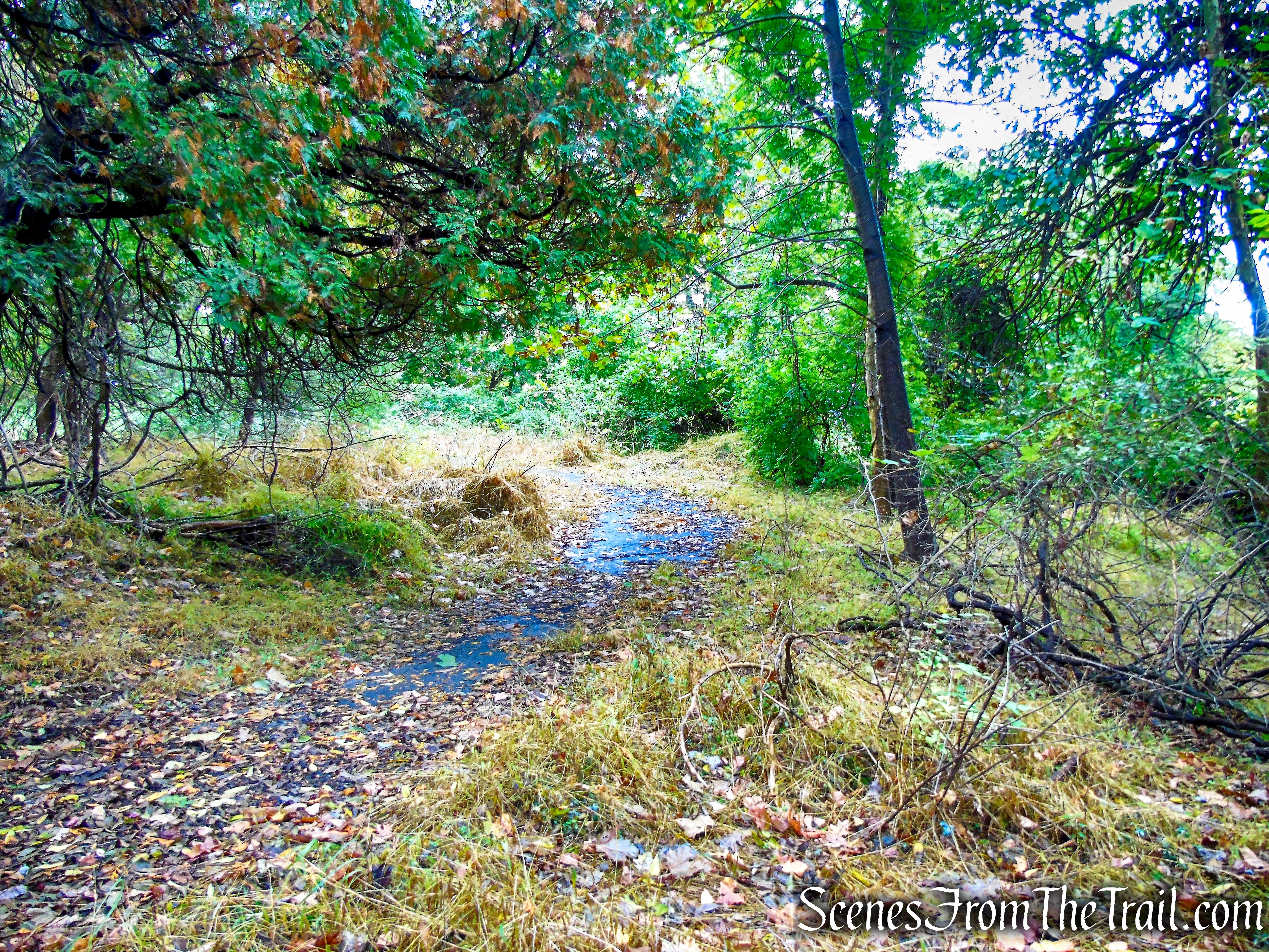 White Trail - George's Island Park