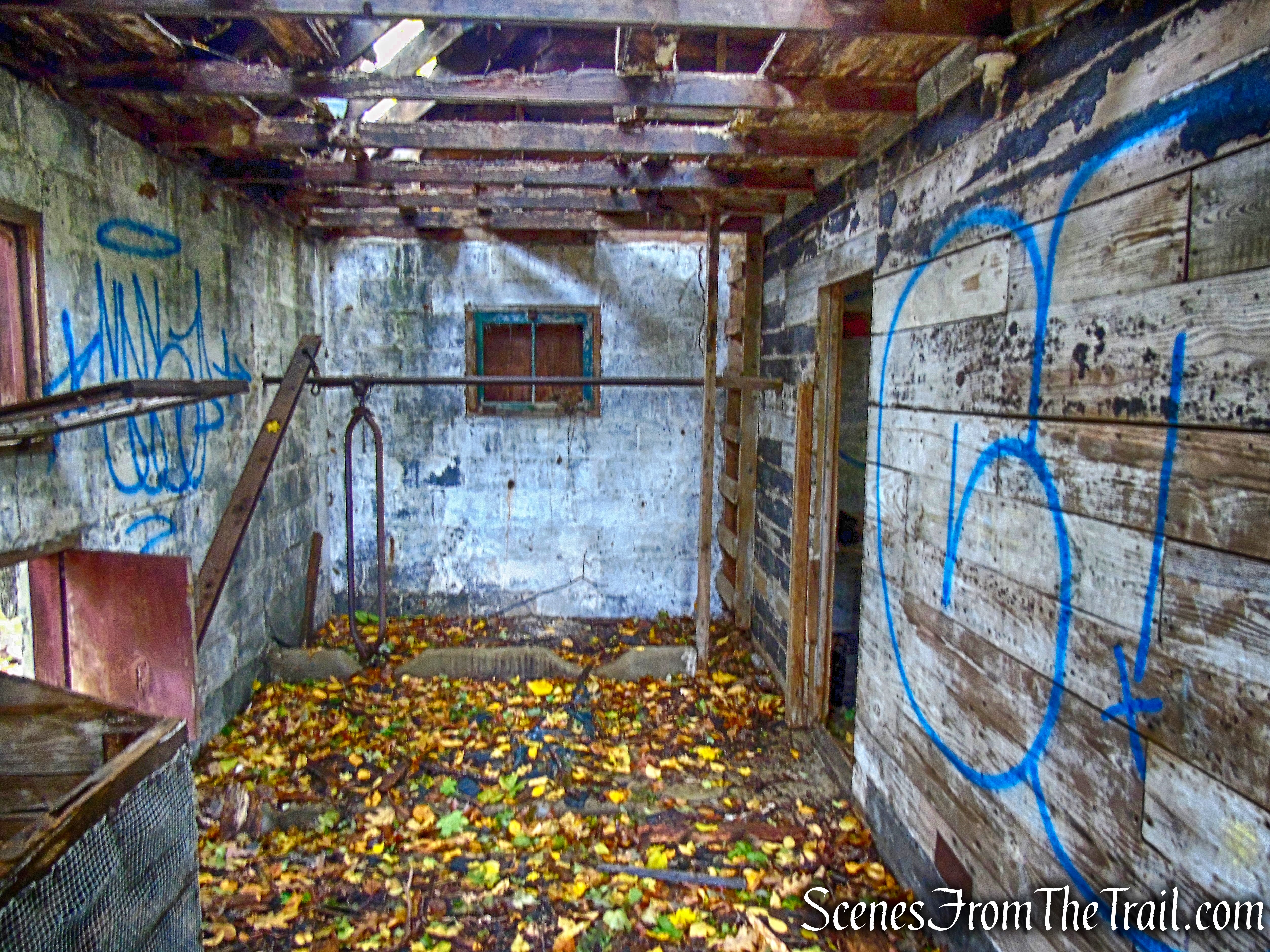 ruins - George's Island Park