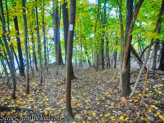 White Trail - George's Island Park