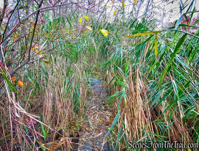 White Trail - George's Island Park