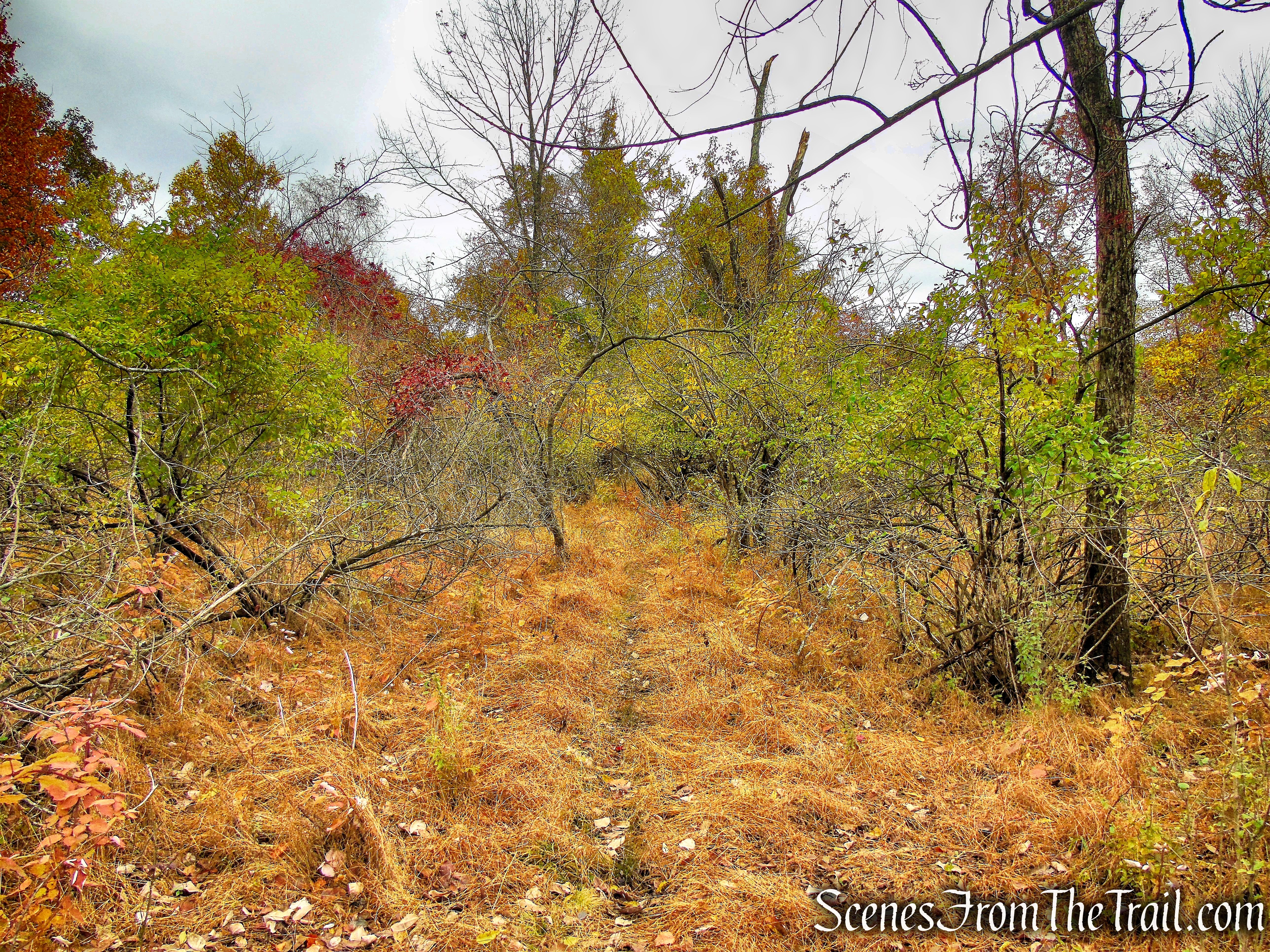 White Trail - George's Island Park