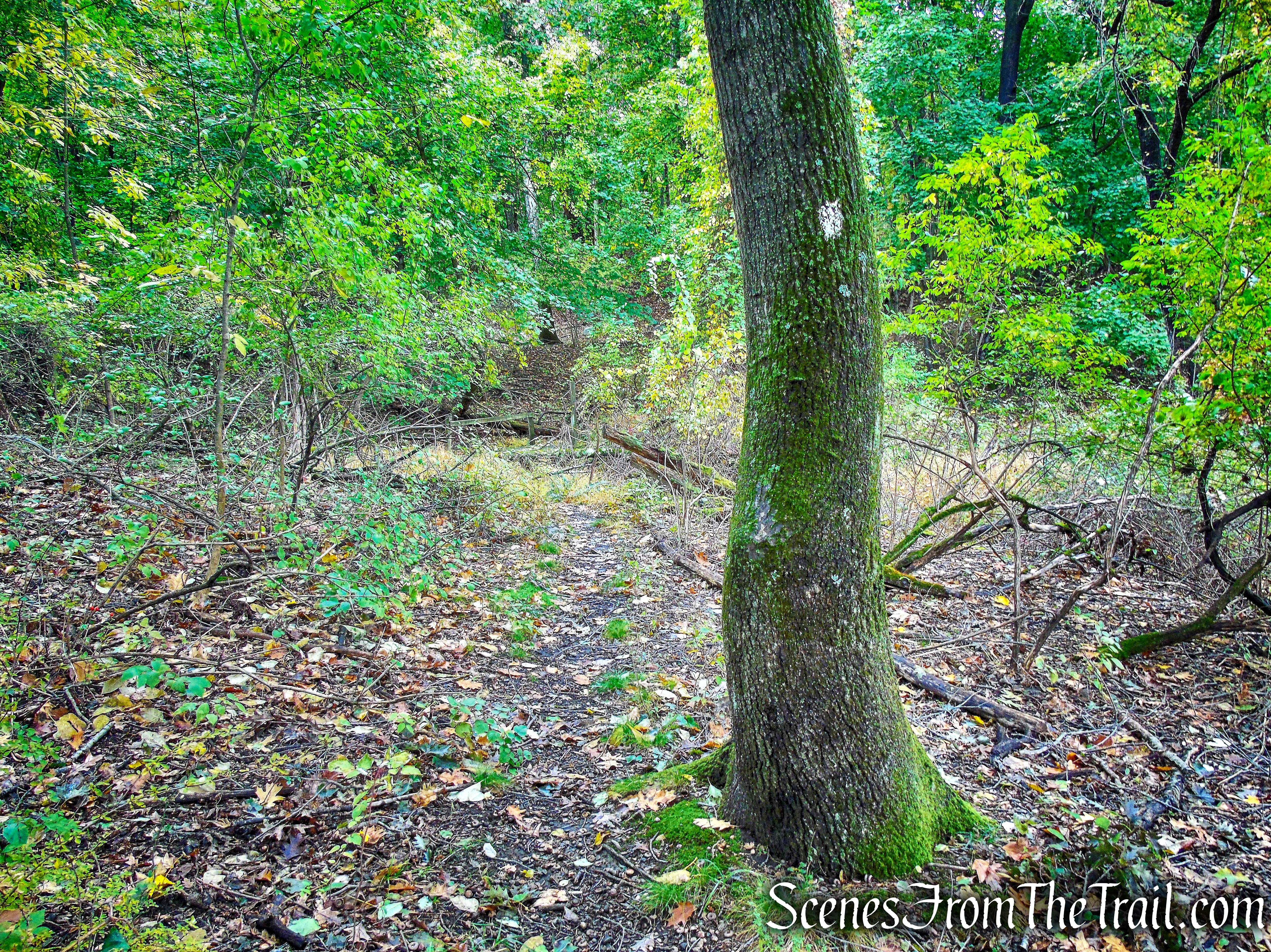 White Trail - George's Island Park