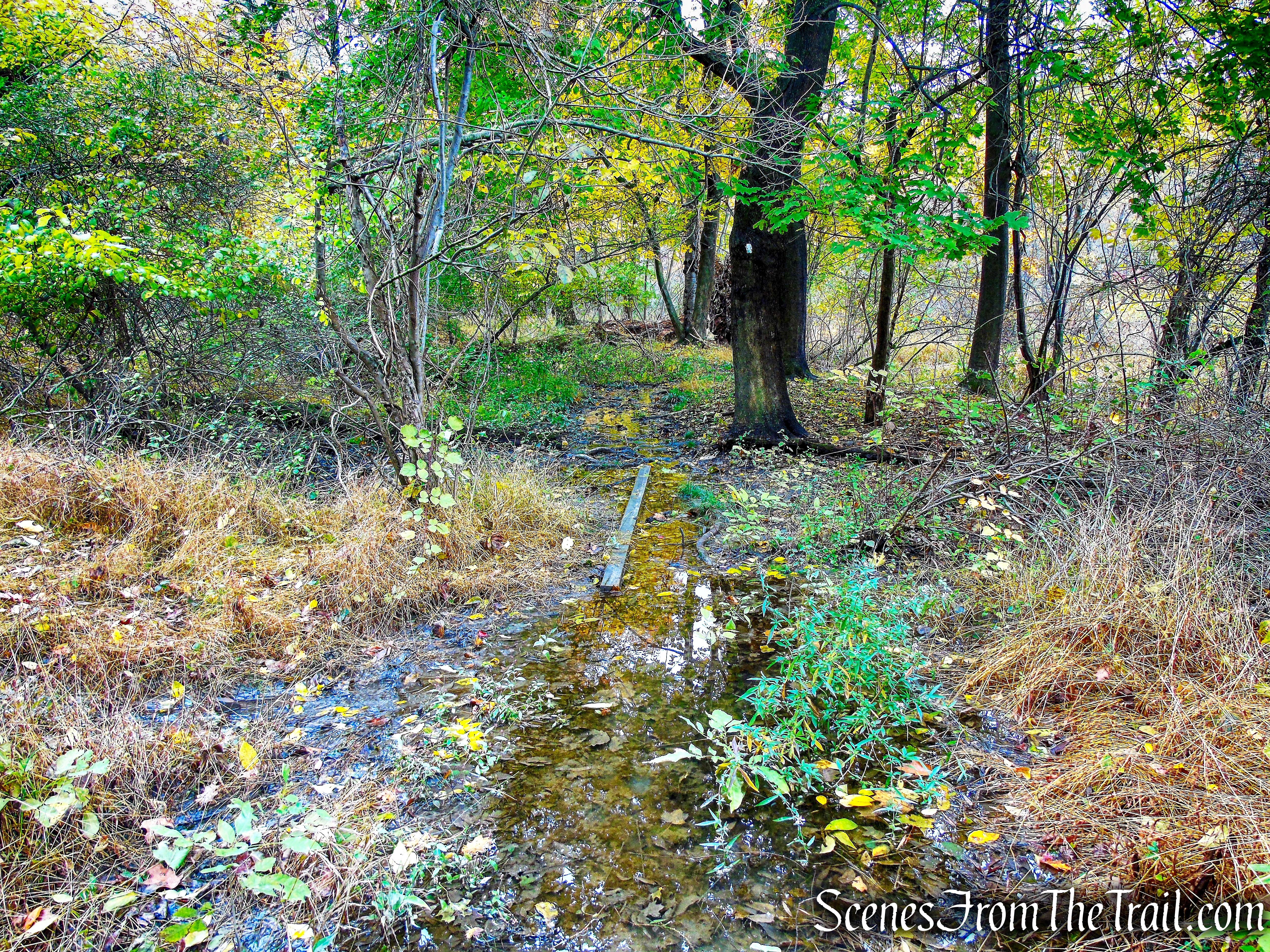 White Trail - George's Island Park