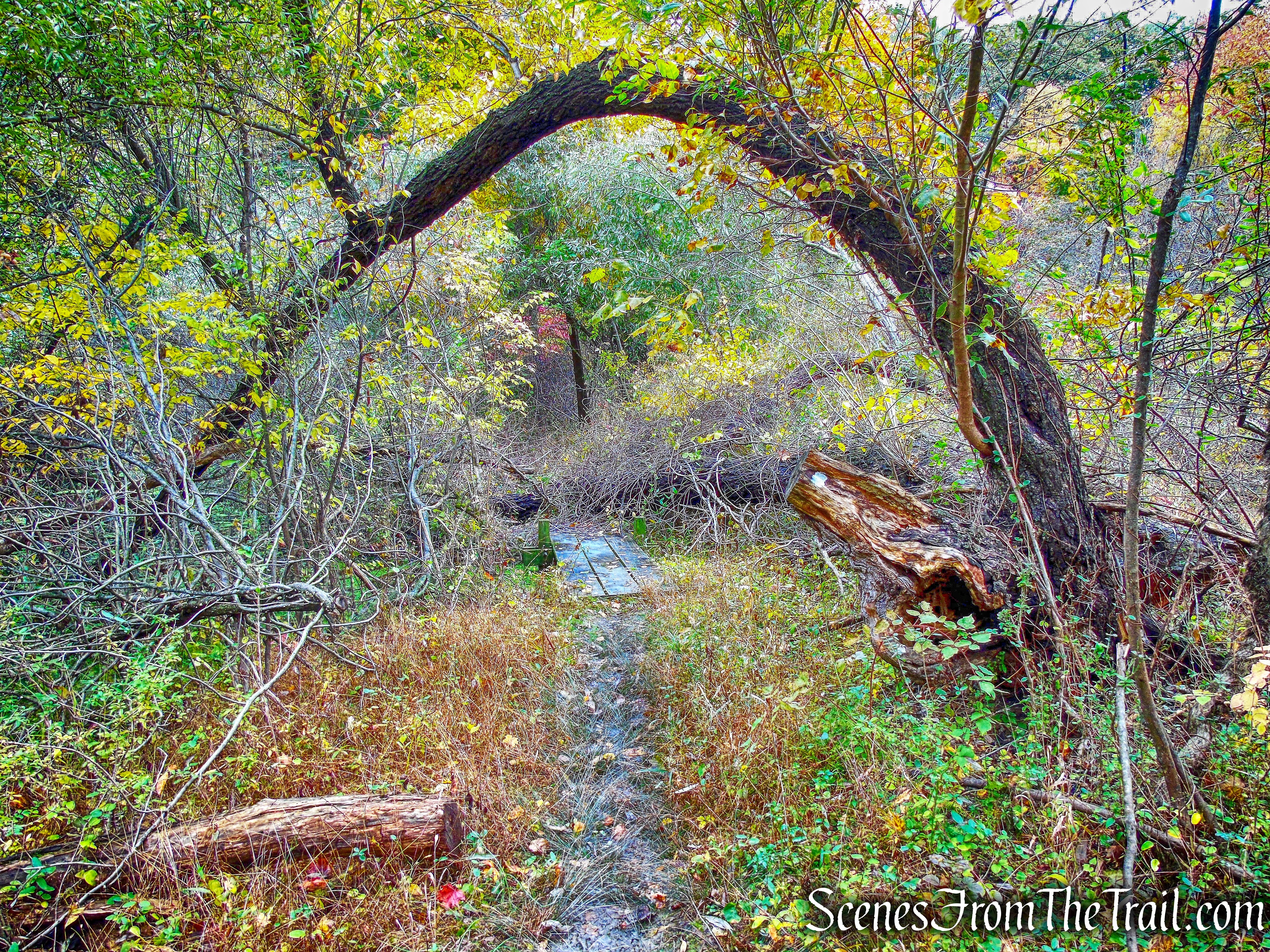 White Trail - George's Island Park