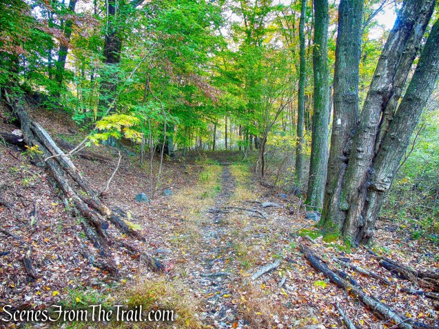 White Trail - George's Island Park