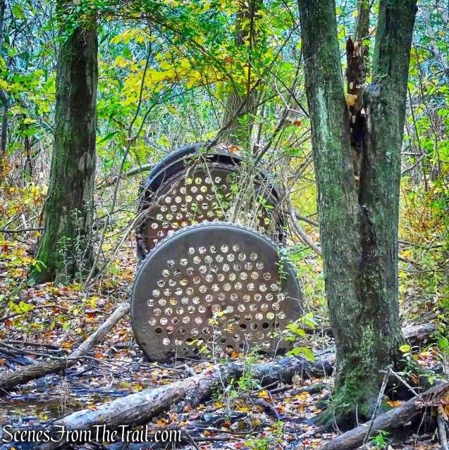 White Trail - George's Island Park