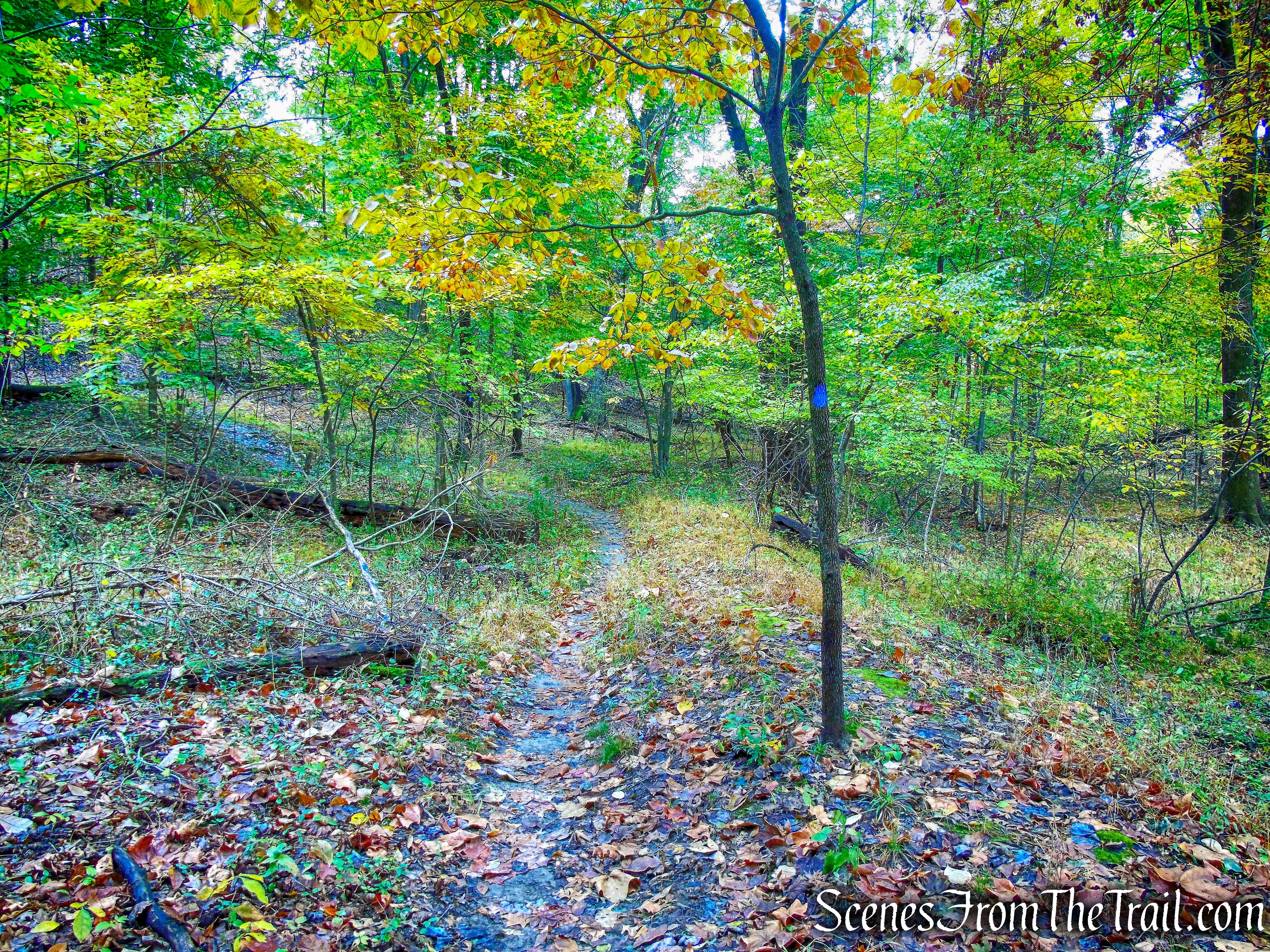 Blue Trail - George's Island Park