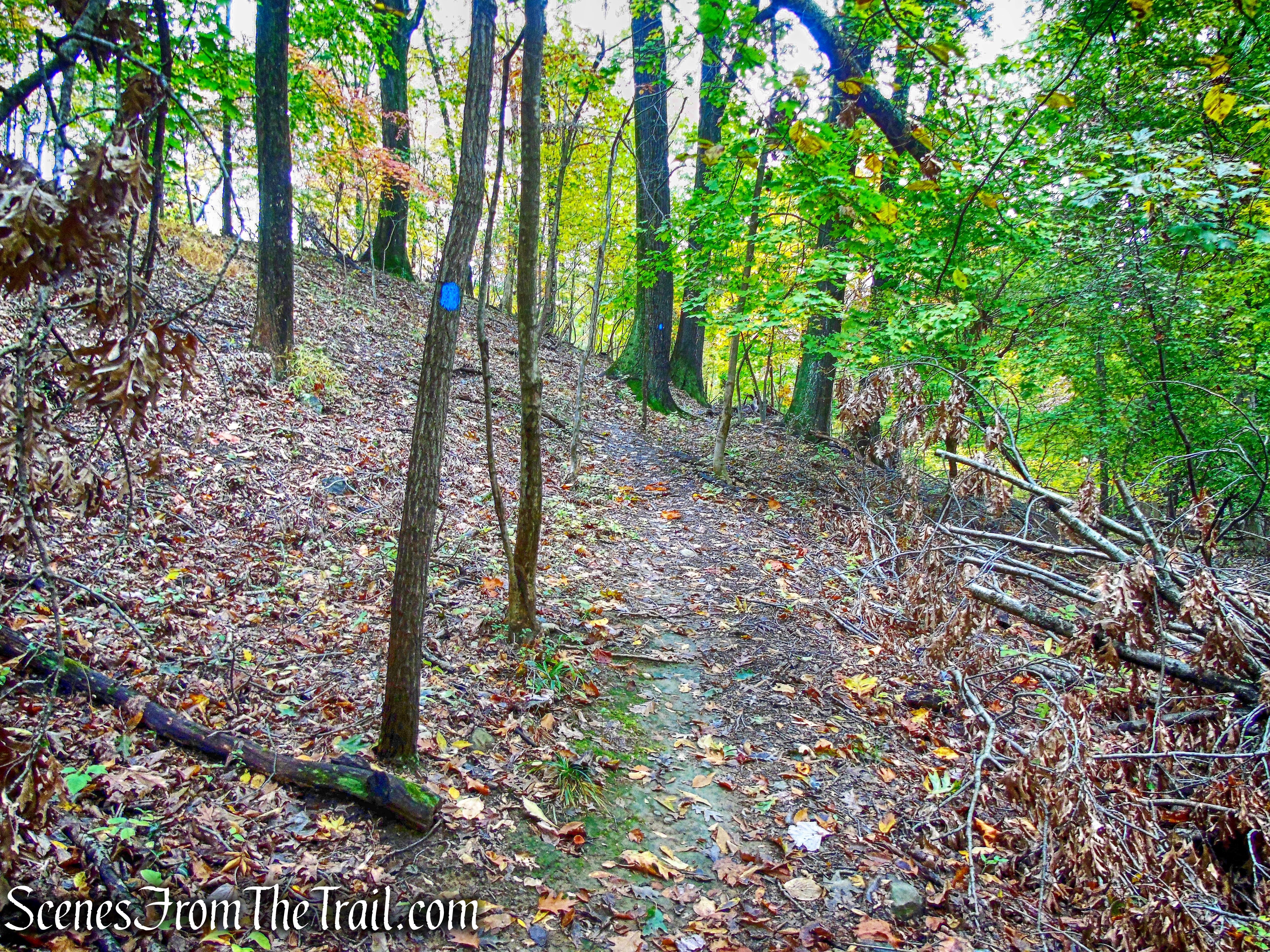Blue Trail - George's Island Park