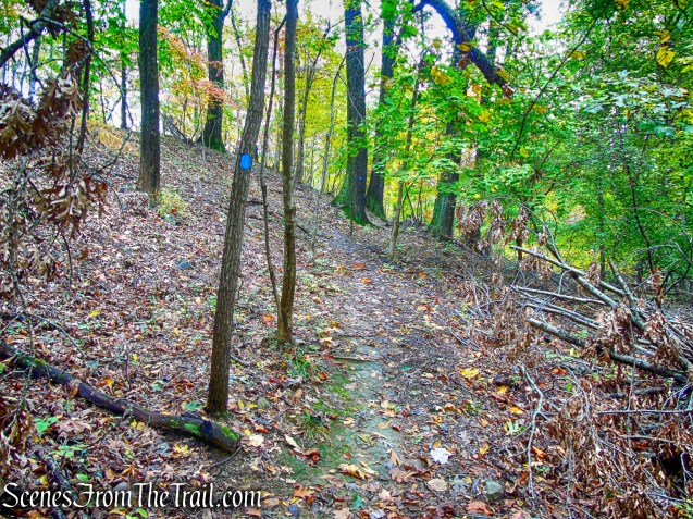 Blue Trail - George's Island Park