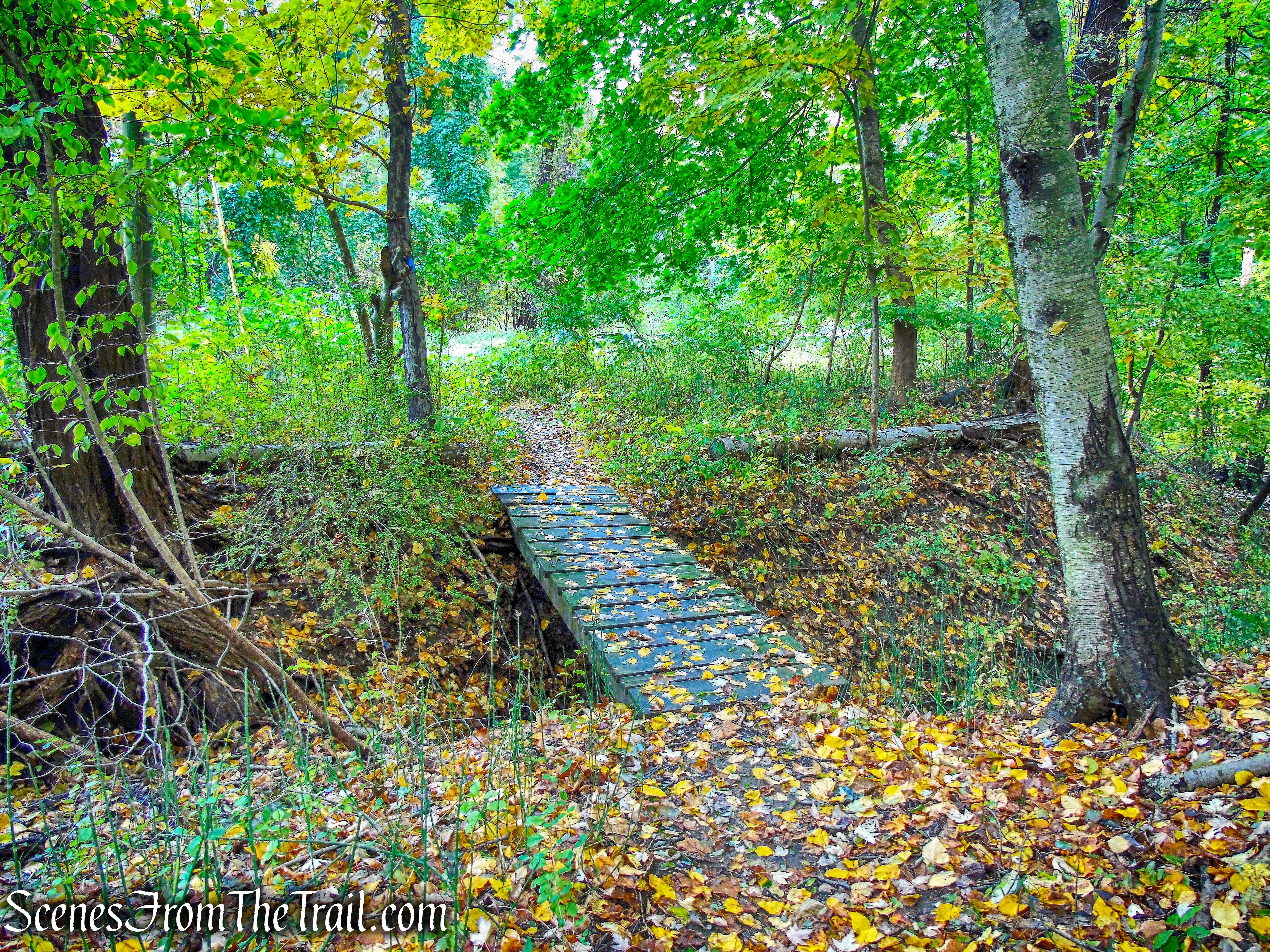 Blue Trail - George's Island Park