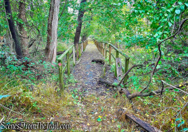 Red Trail - Montrose Point State Forest