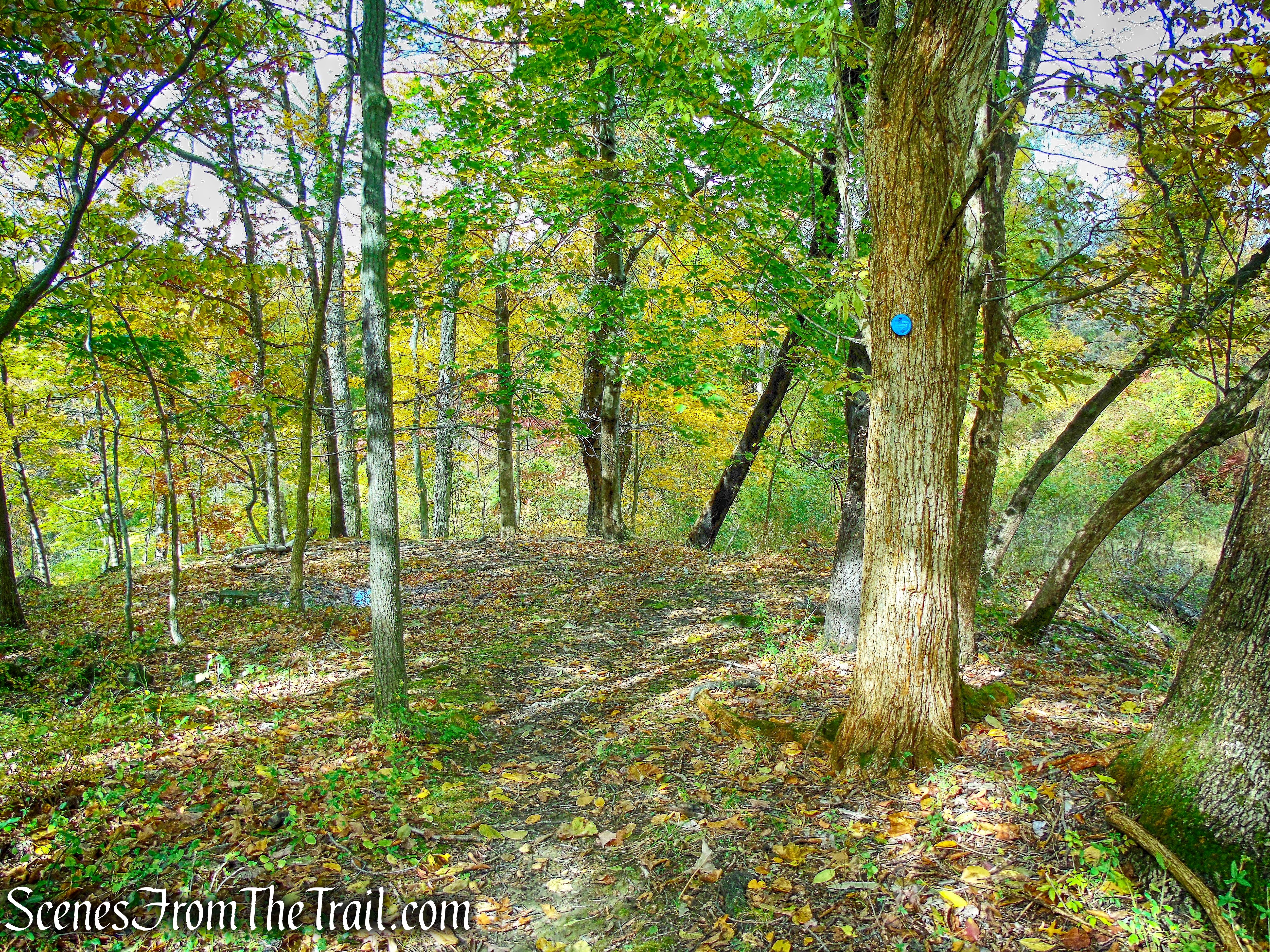 Blue Trail - Montrose Point State Forest