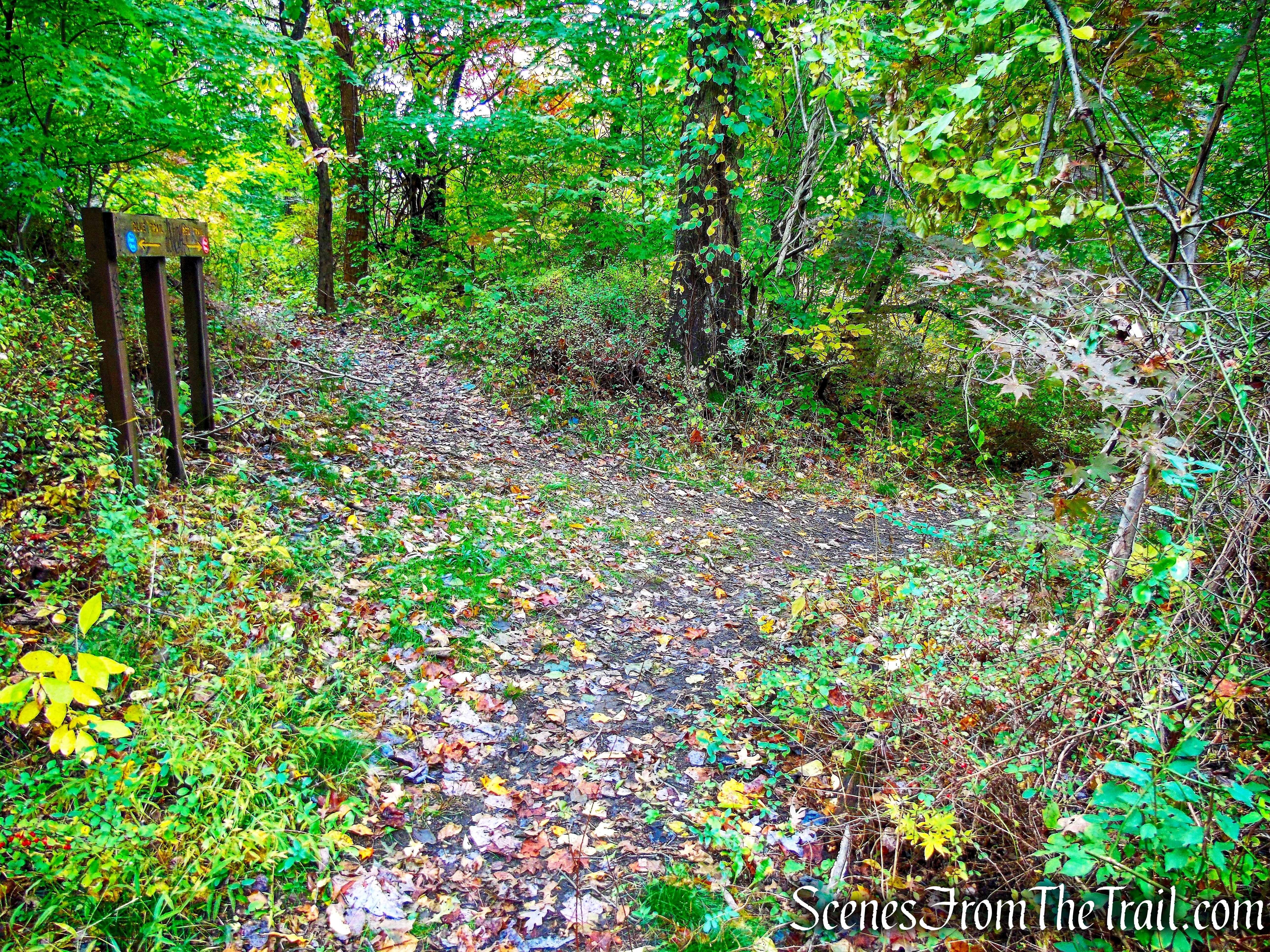 Blue Trail - Montrose Point State Forest