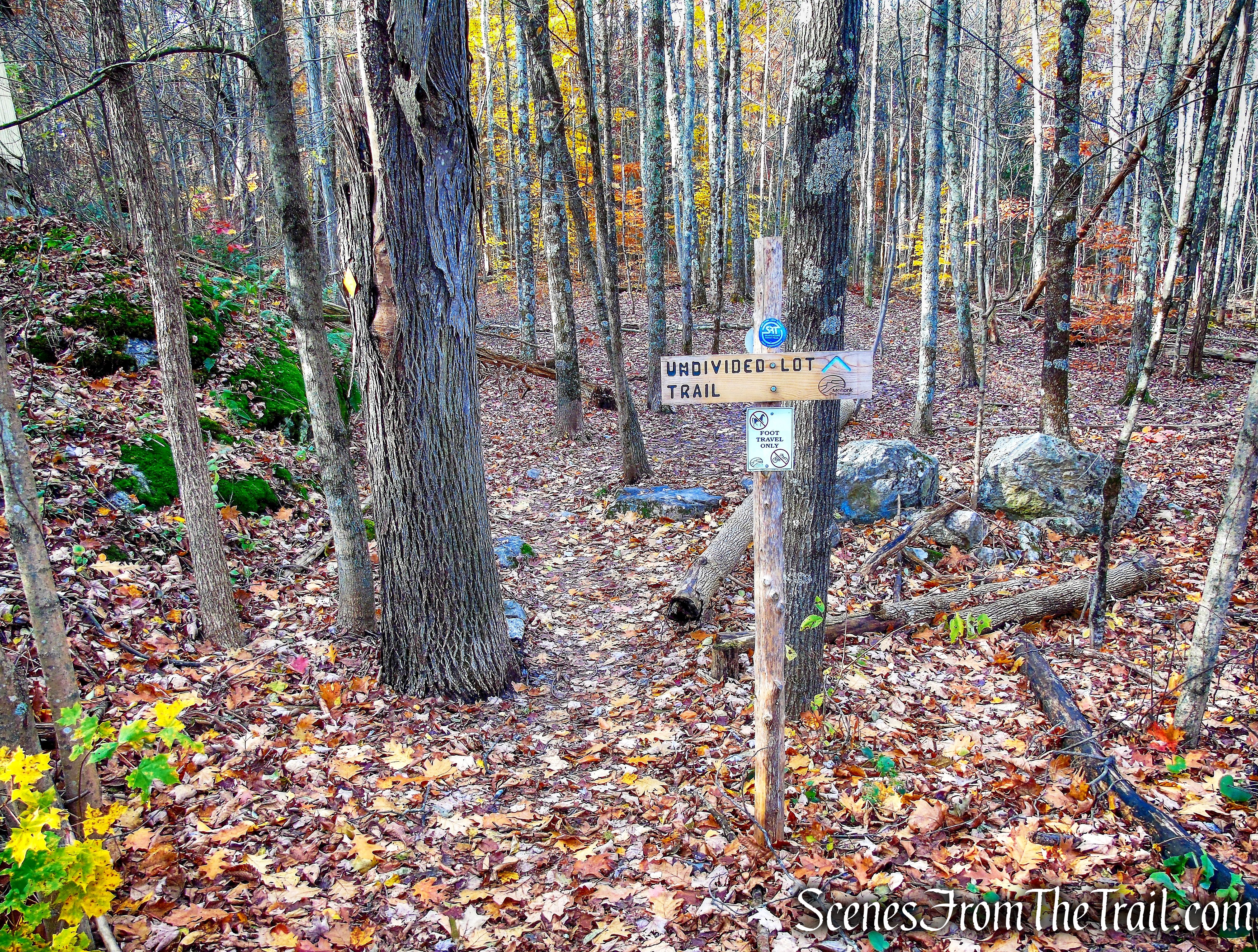 Undivided Lot Trail