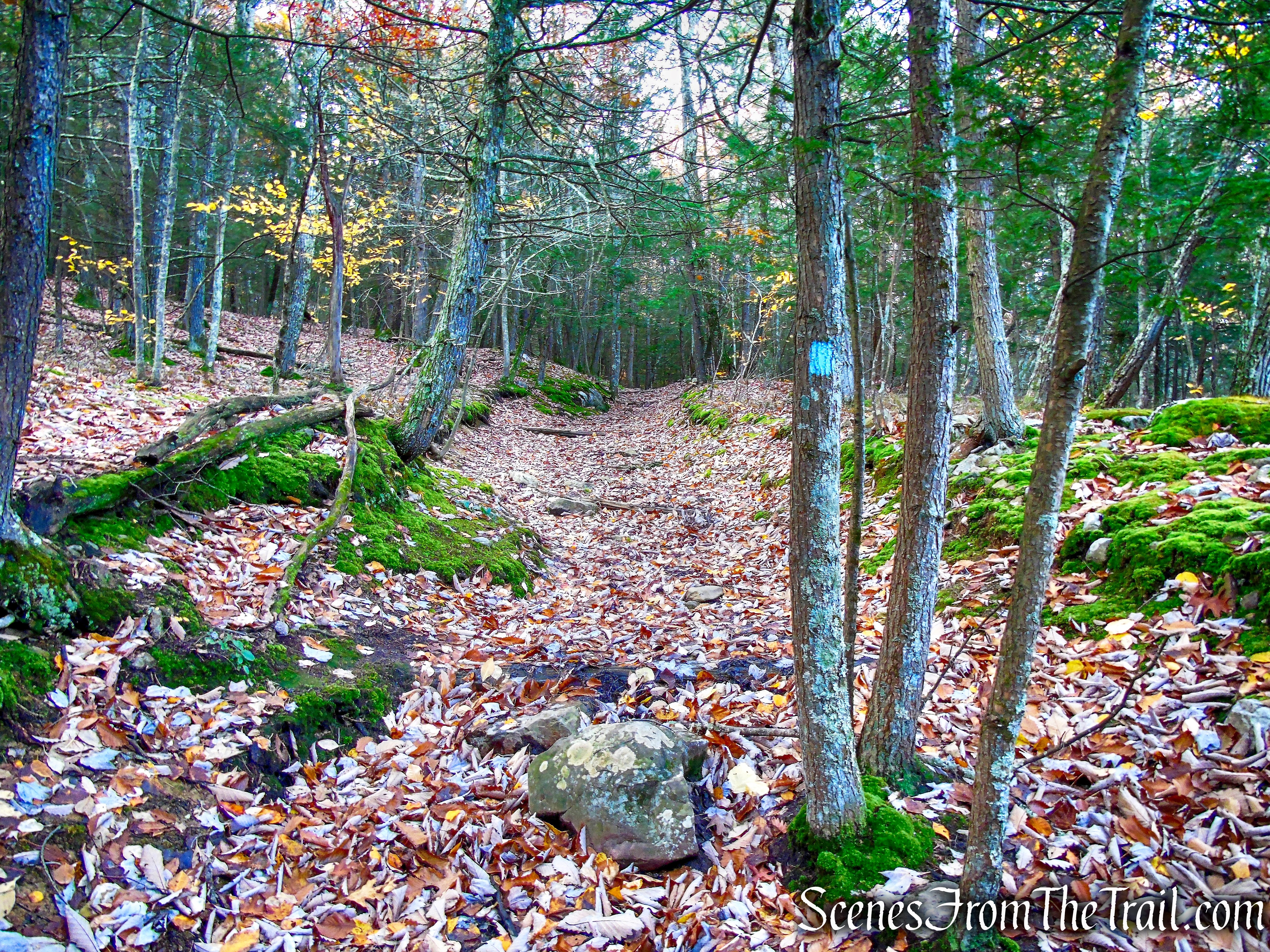 Undivided Lot Trail