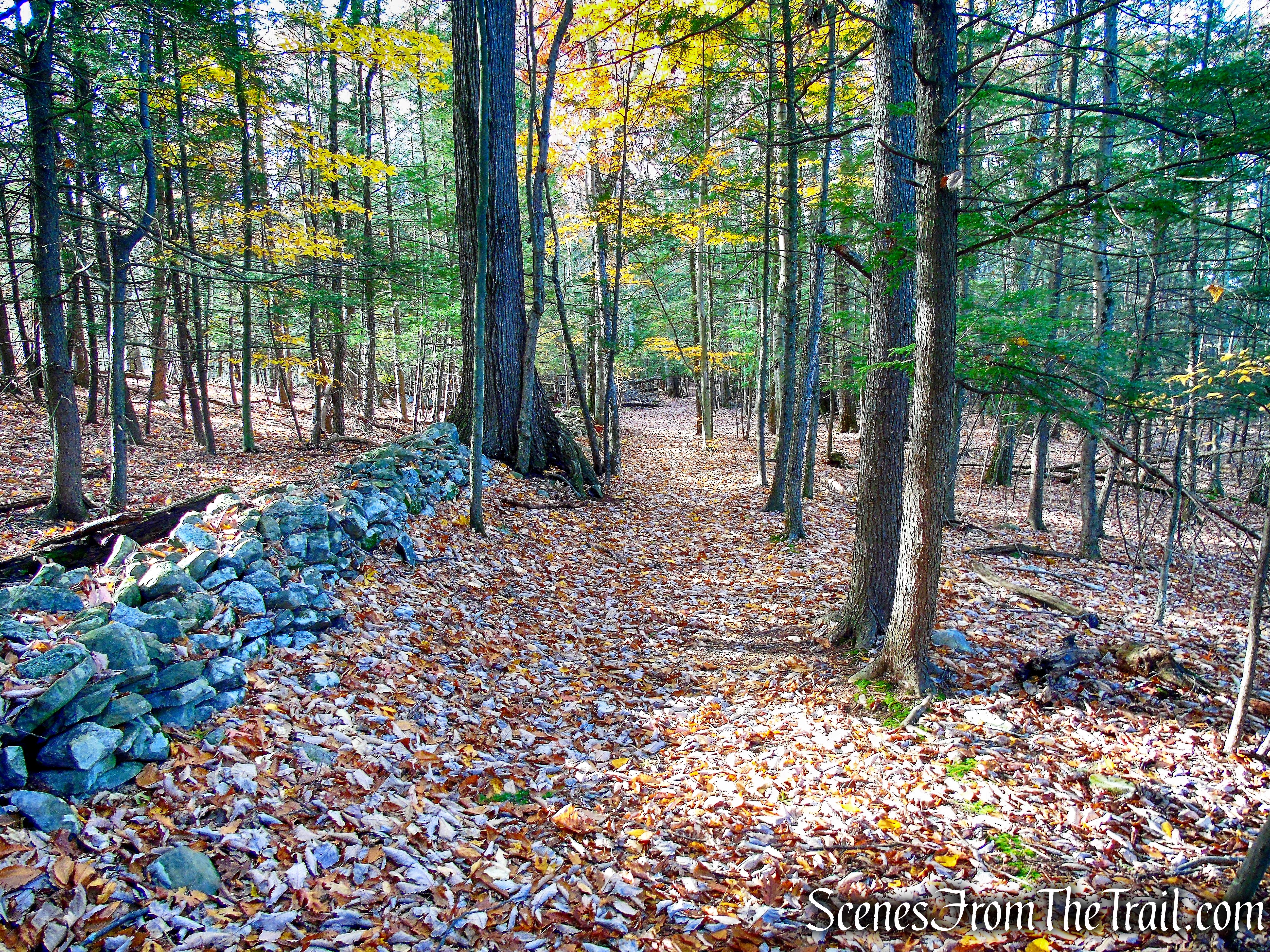 Undivided Lot Trail