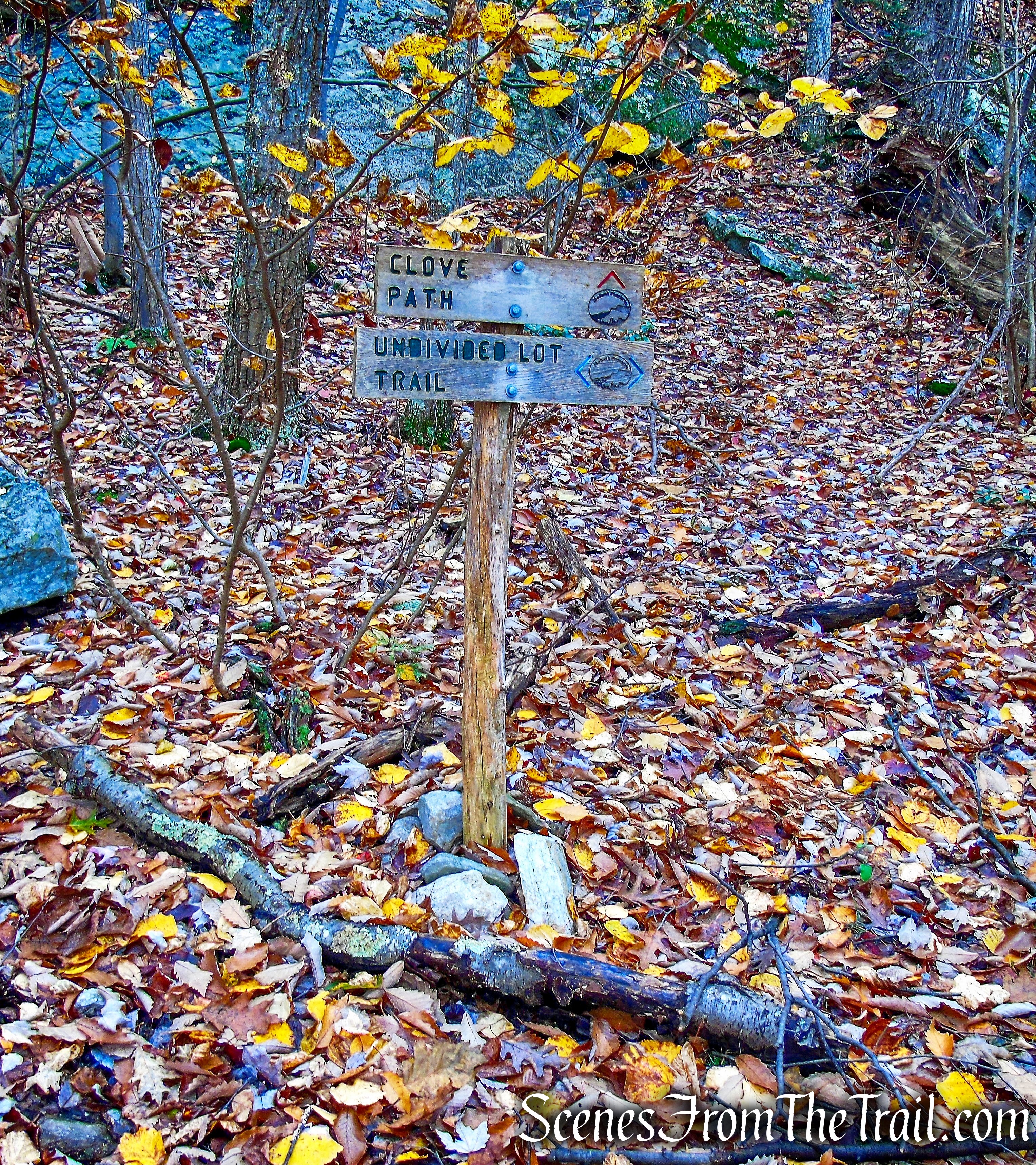 Undivided Lot Trail