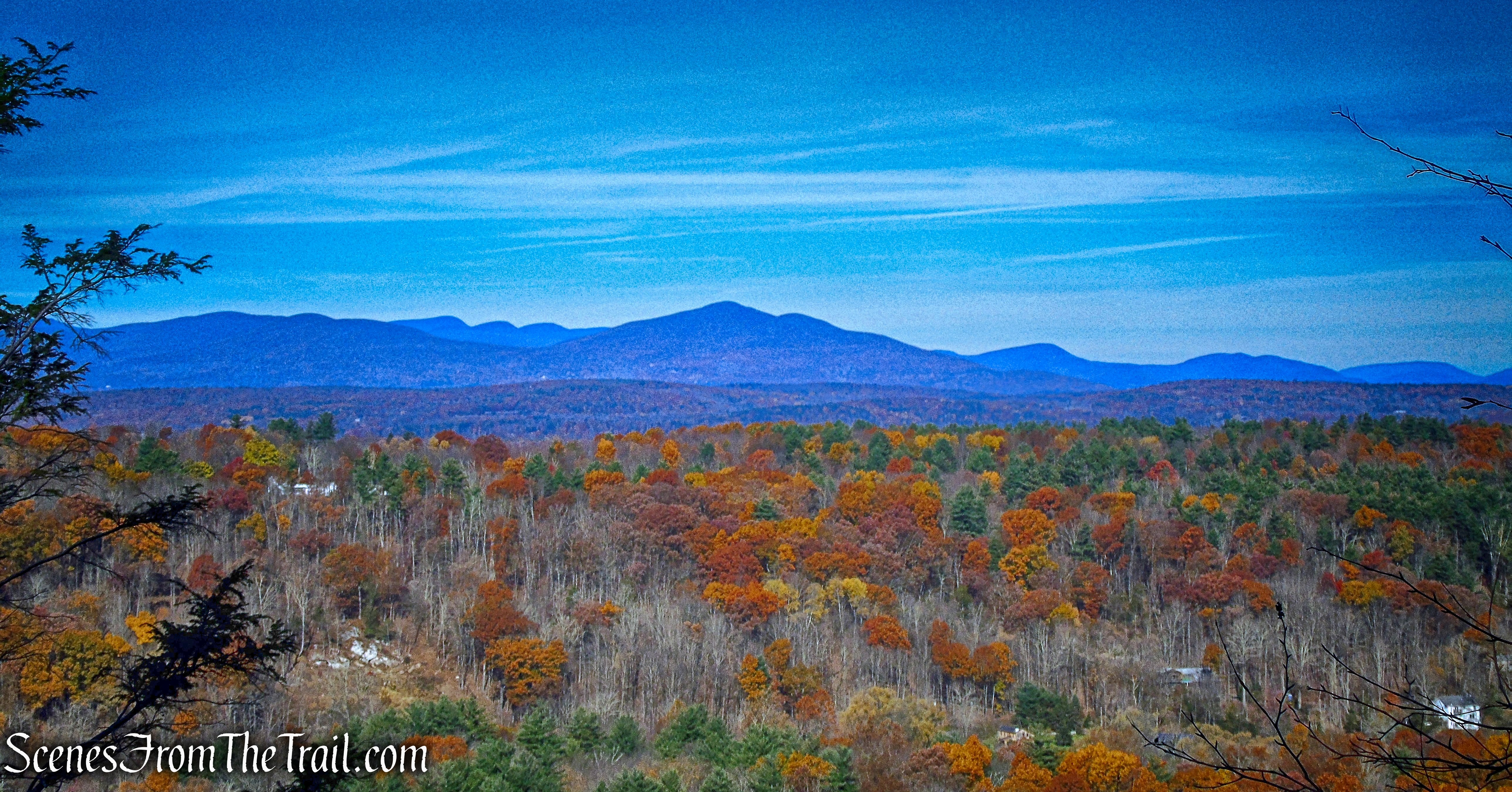 view from Undivided Lot Trail