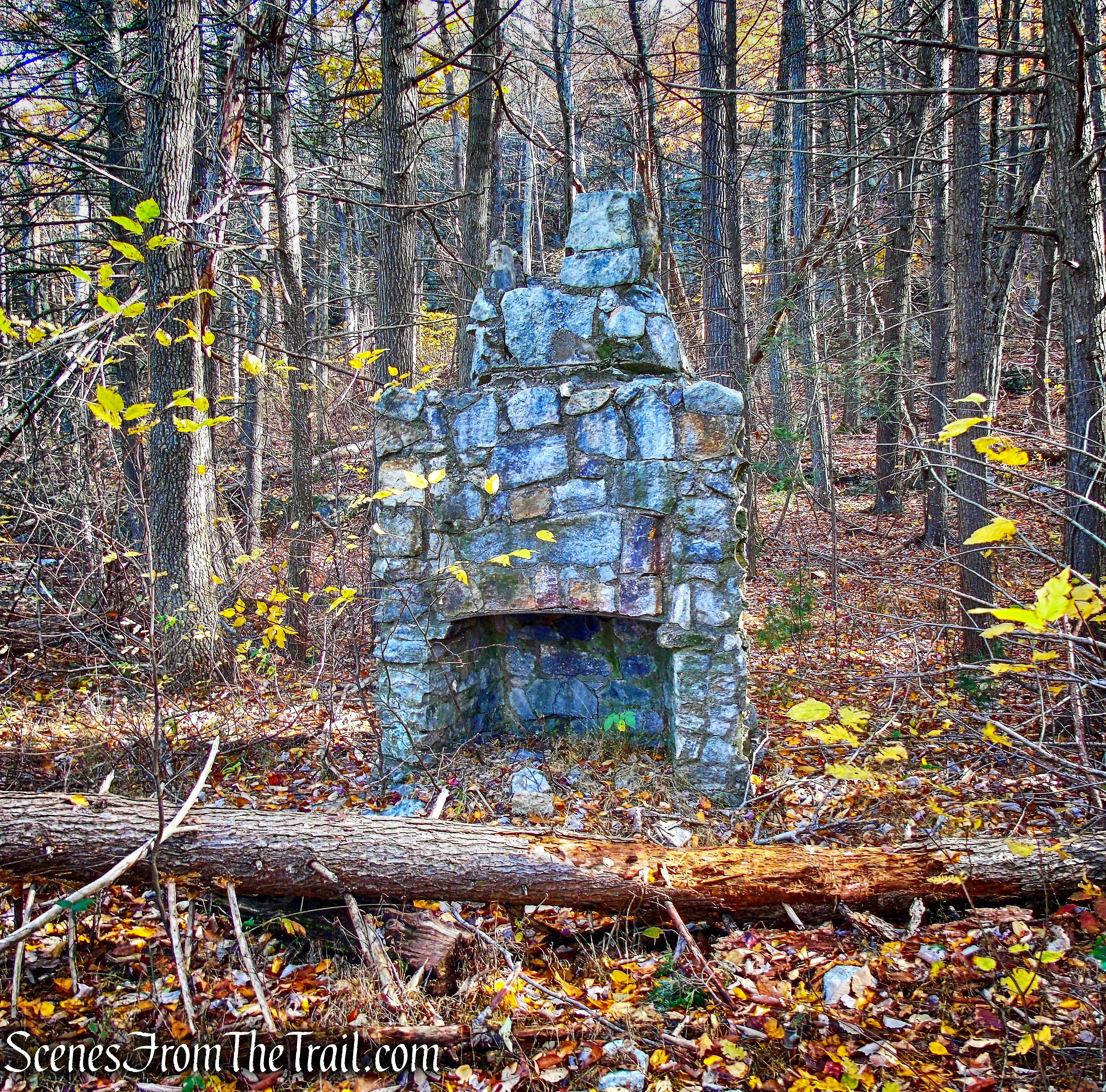 fireplace - Undivided Lot Trail