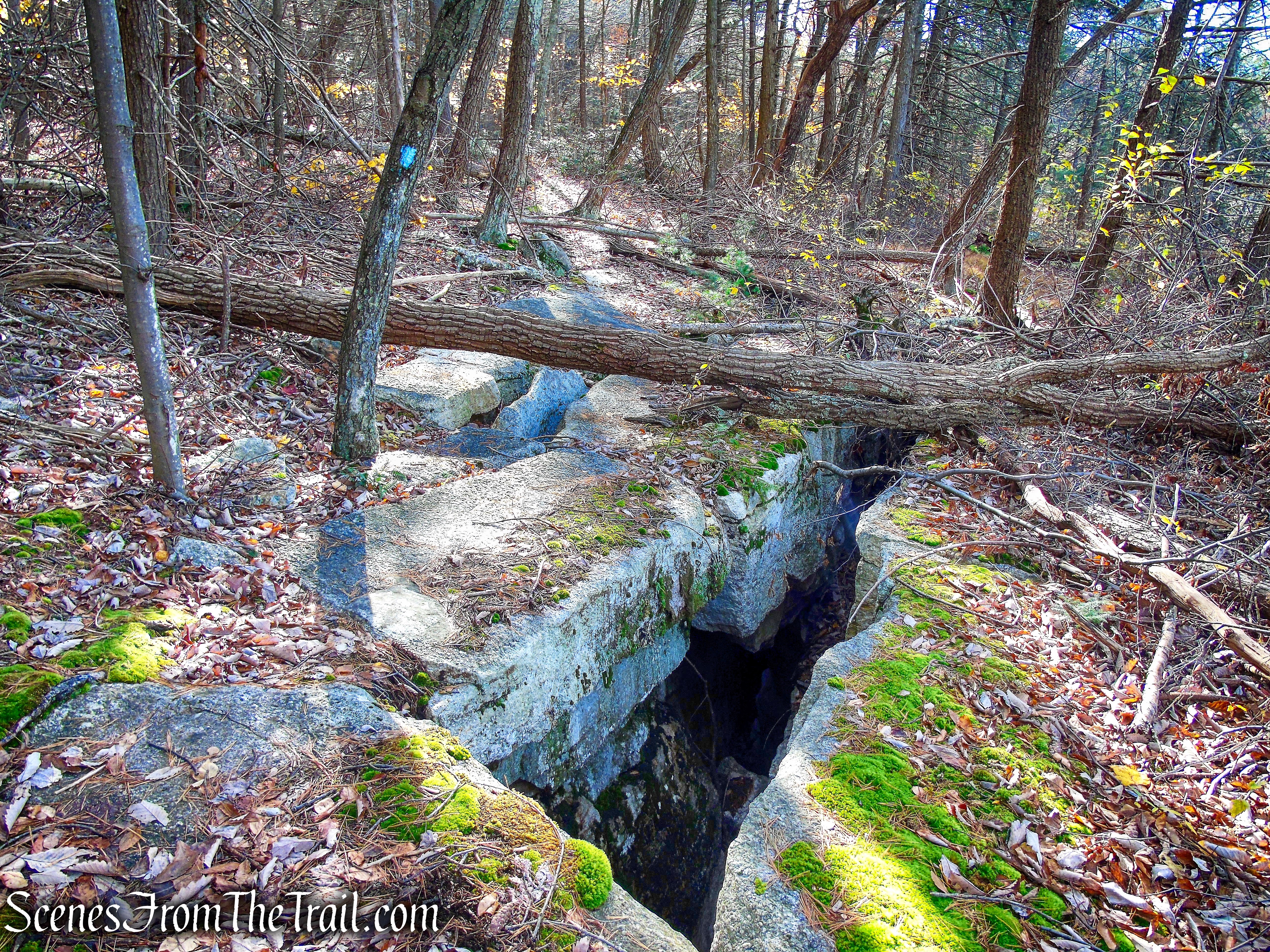 Undivided Lot Trail