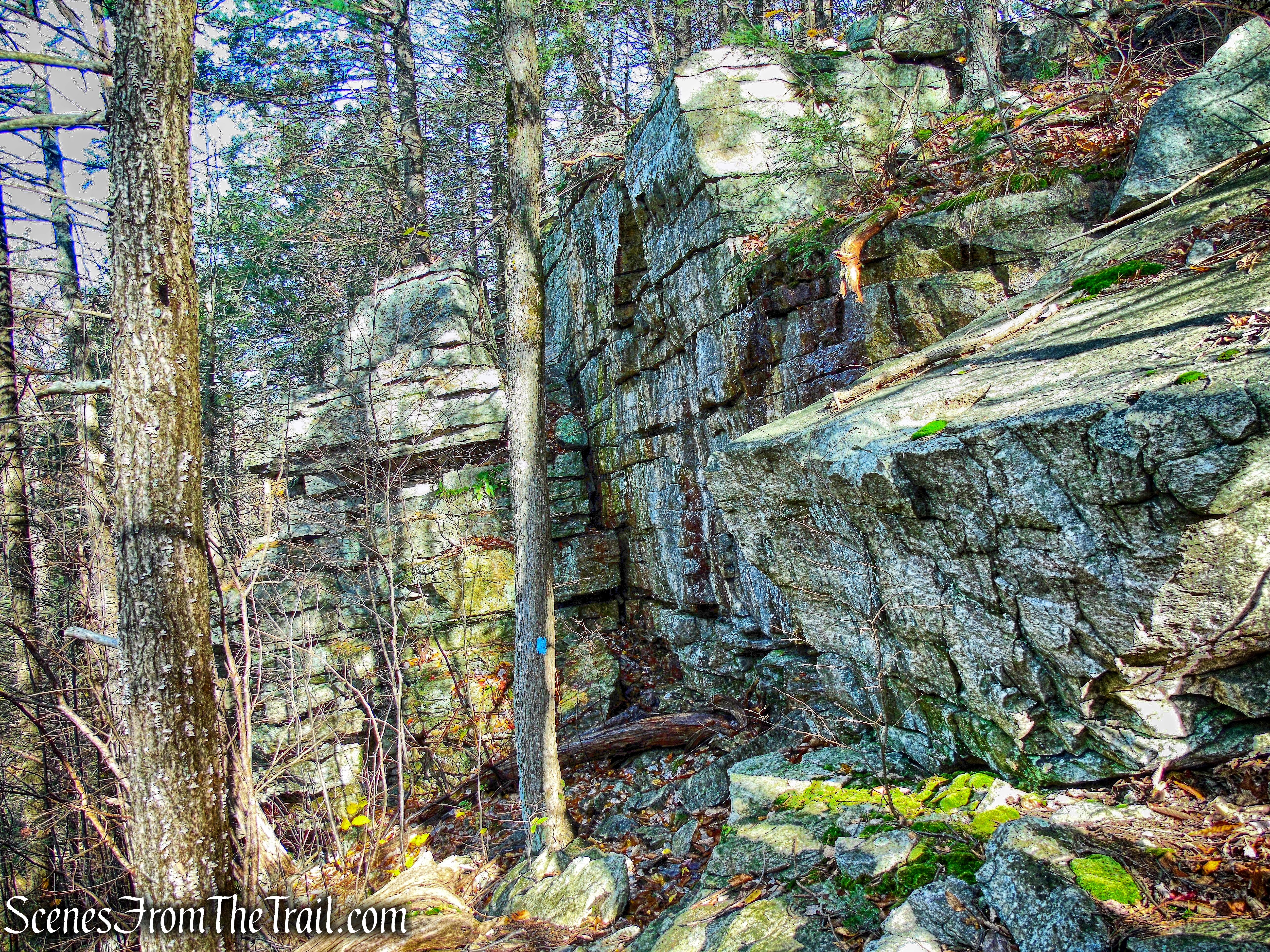 Undivided Lot Trail