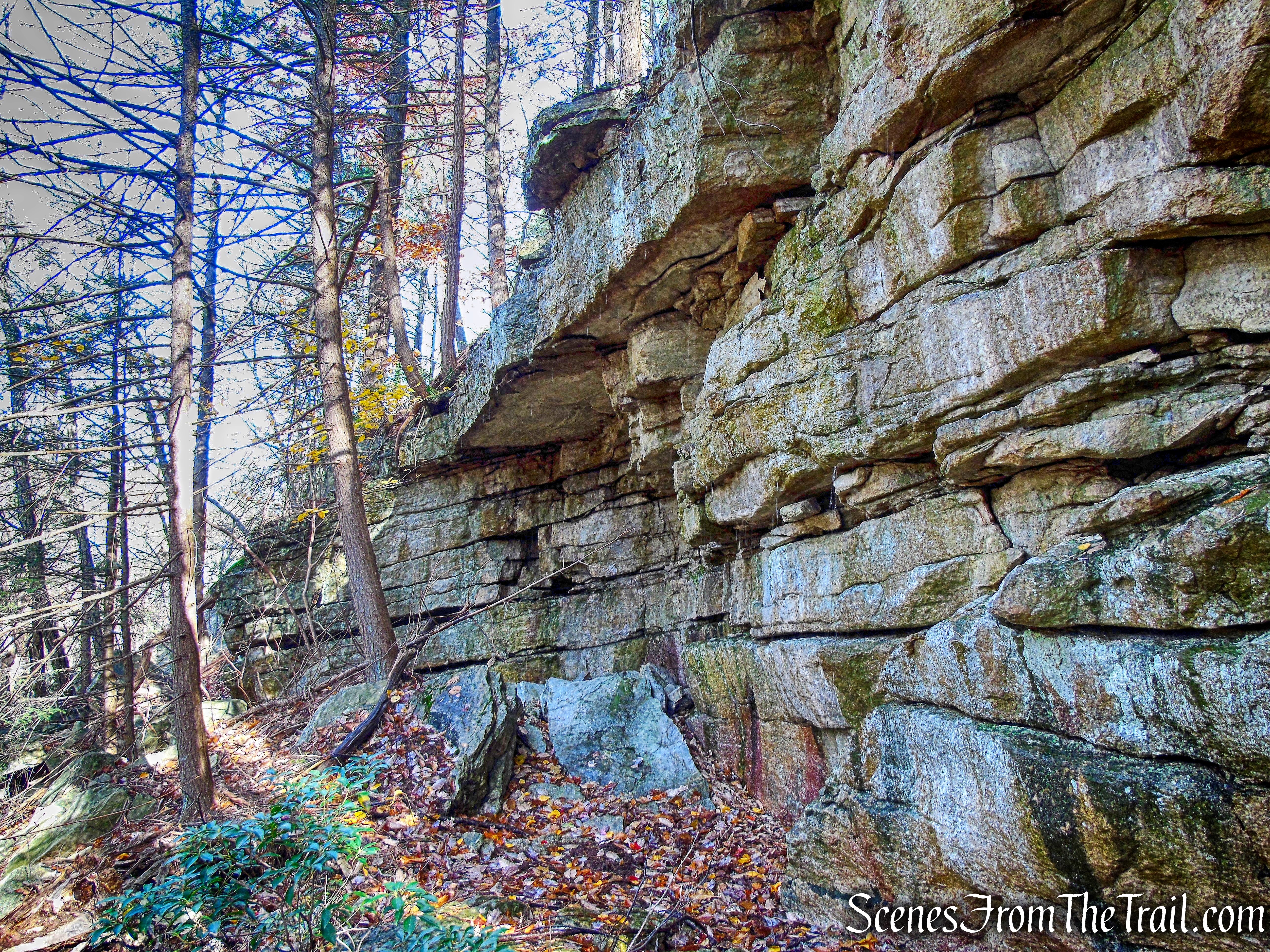 Undivided Lot Trail