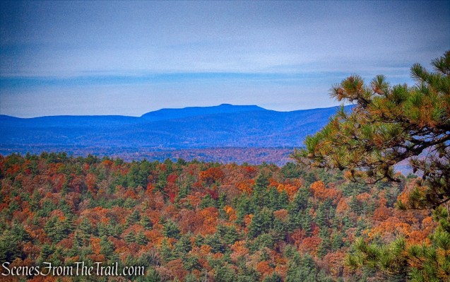 view from Undivided Lot Trail