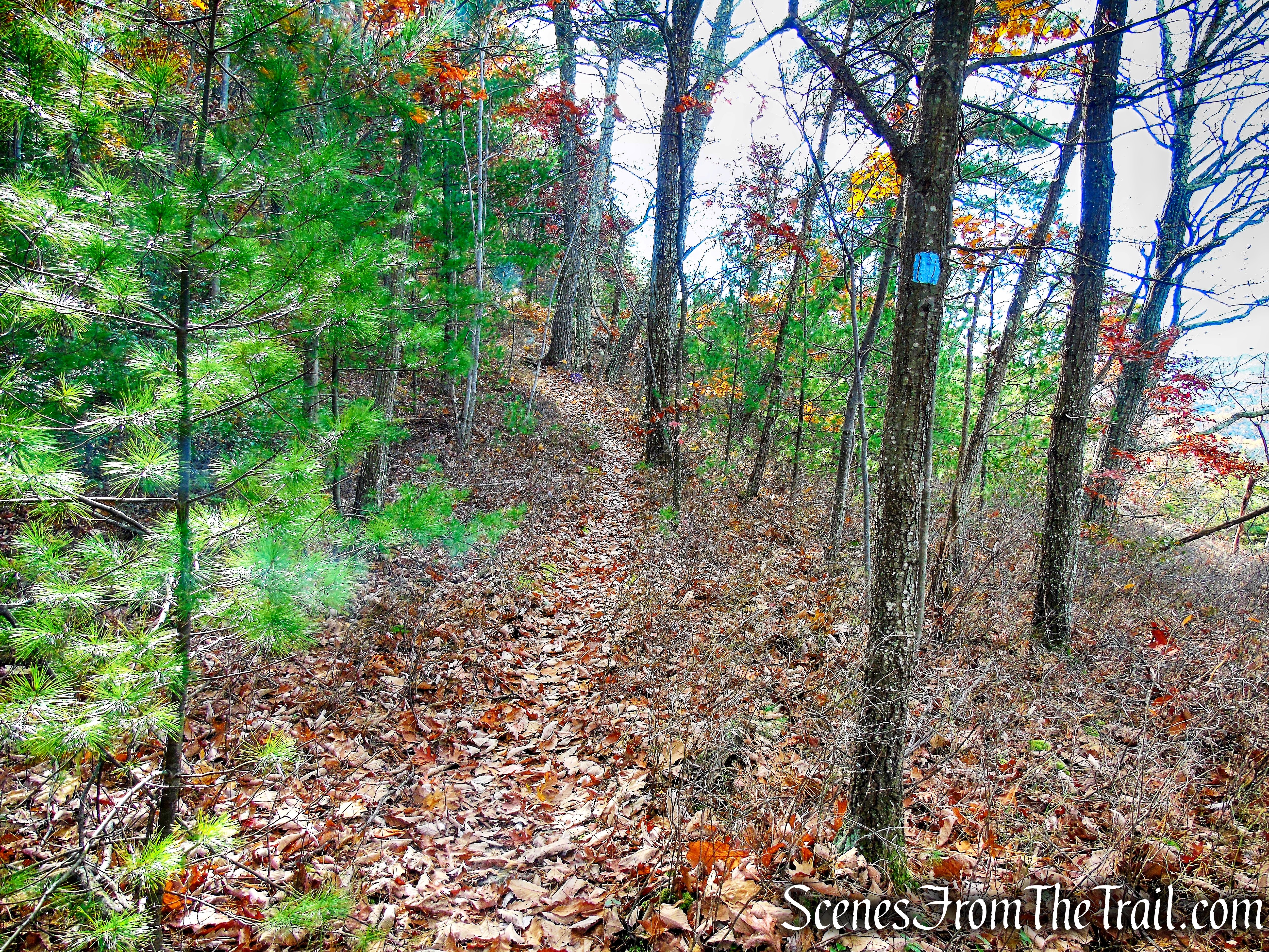 Undivided Lot Trail