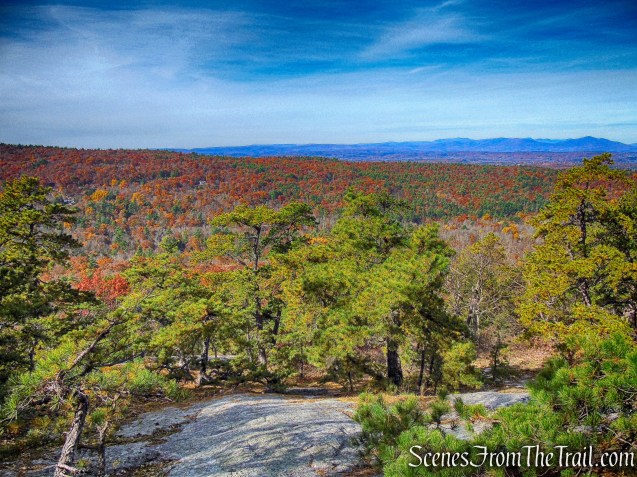 view from Undivided Lot Trail