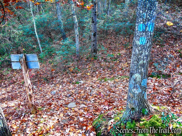 terminus of Undivided Lot Trail