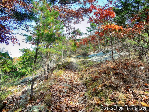 Old Minnewaska Trail